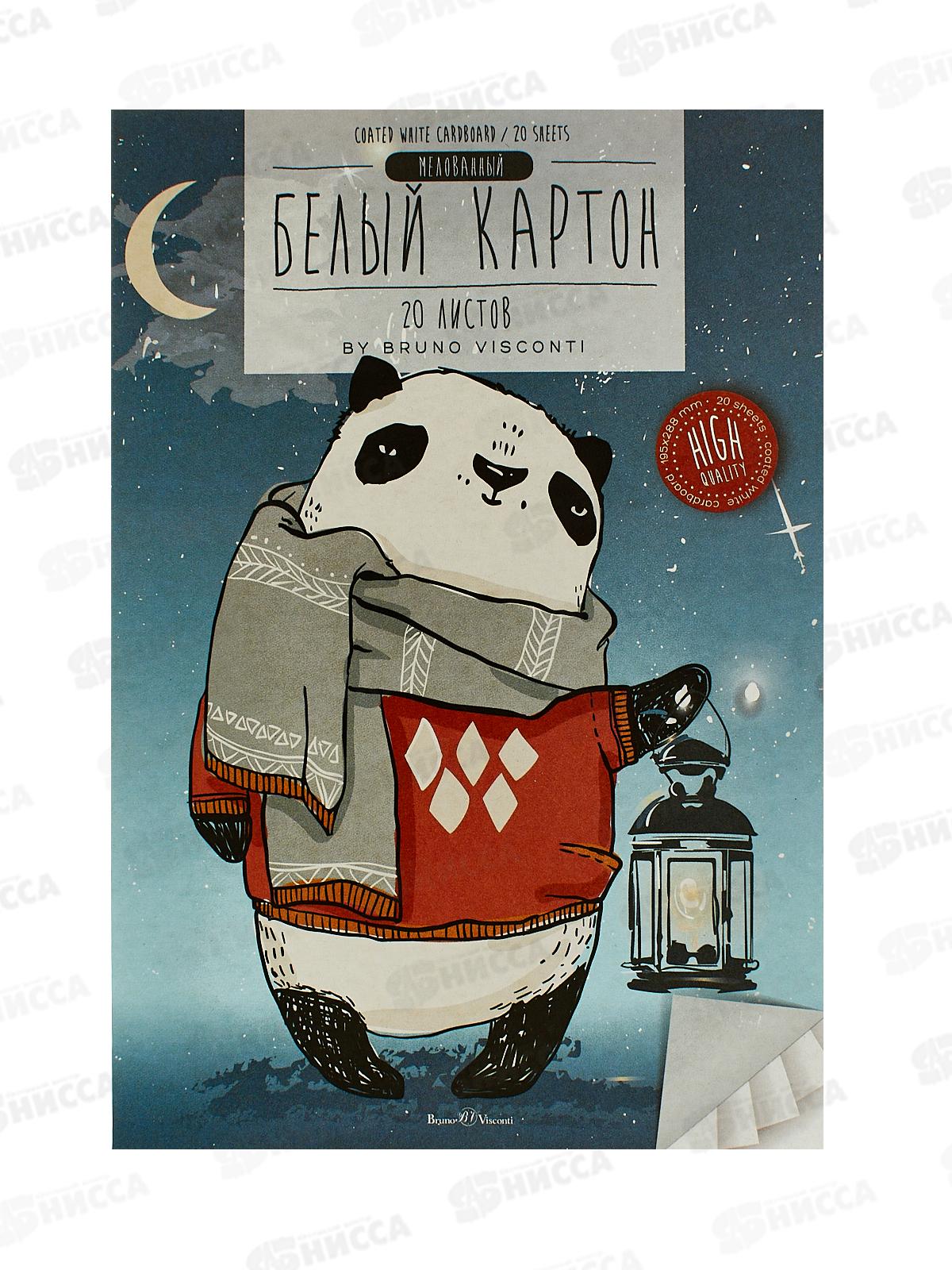 Картон Белый А4 АЛЬТ 20л 2 вида, 11-420-302 *15