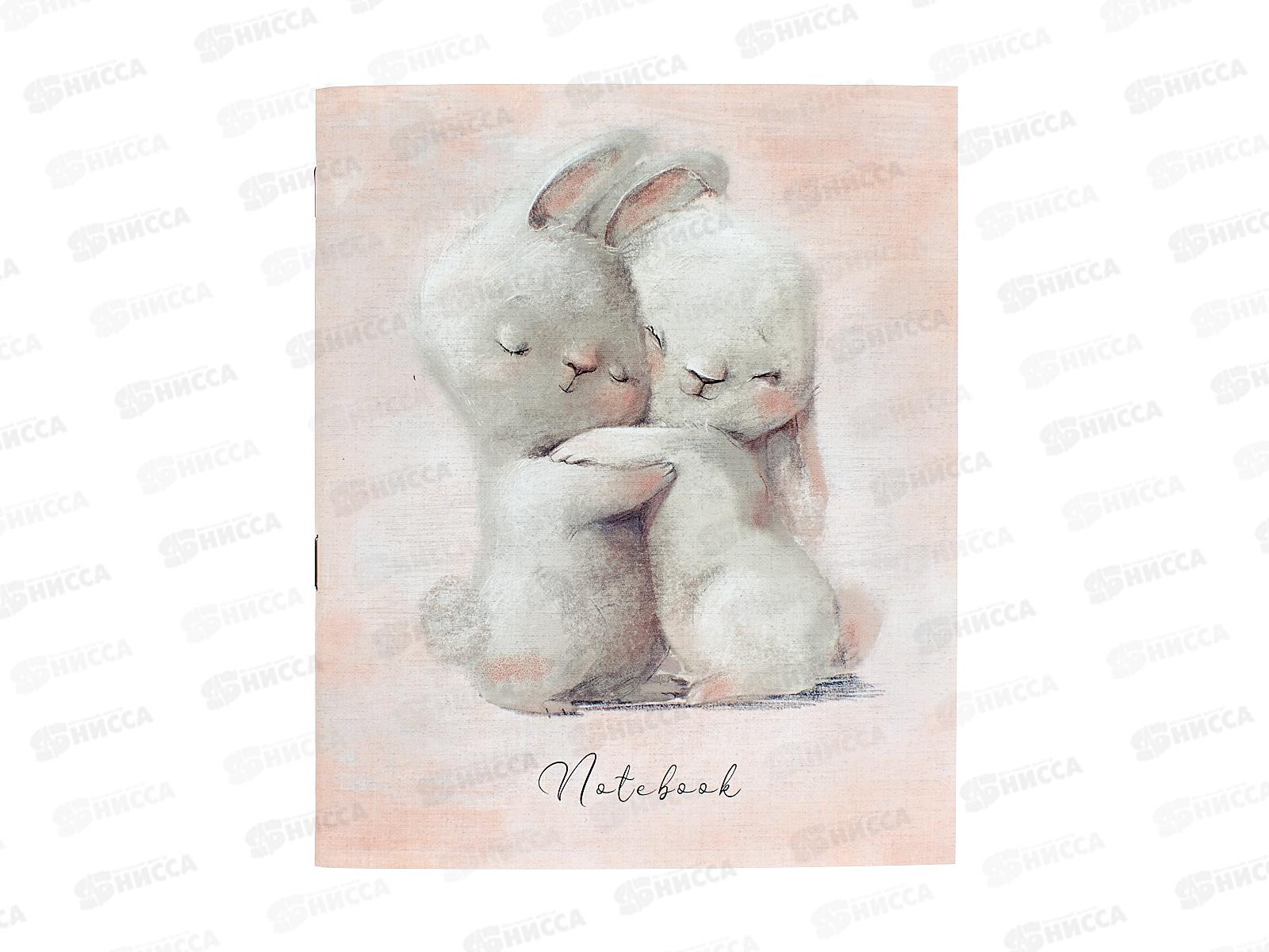 Тетрадь 48л кл. ПЛН Обнимашки, мел., 4 диз. 3346 *40