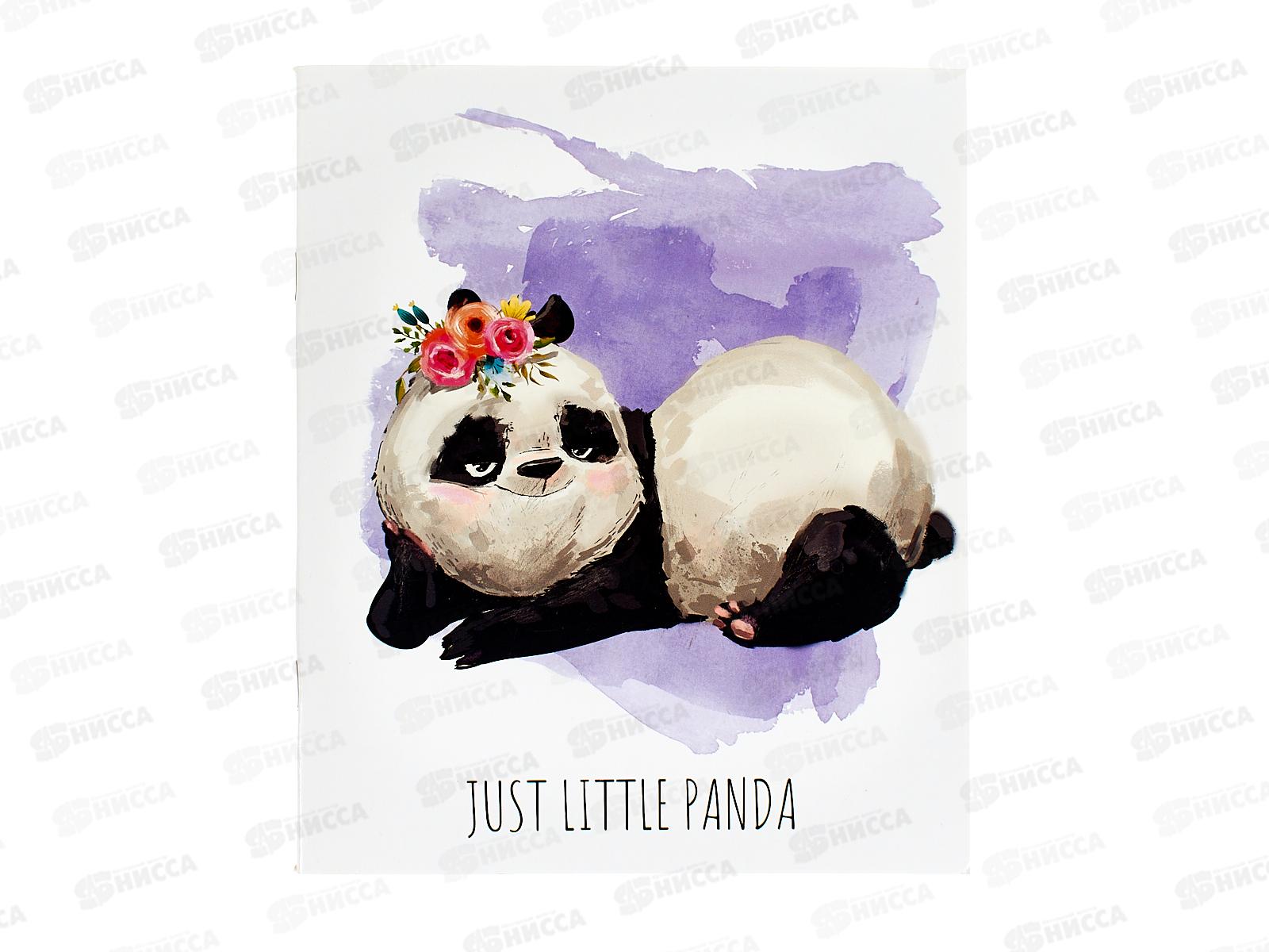 Тетрадь 48л кл. ПЛН Маленький панда, скрепка 4 диз. 3471 *40