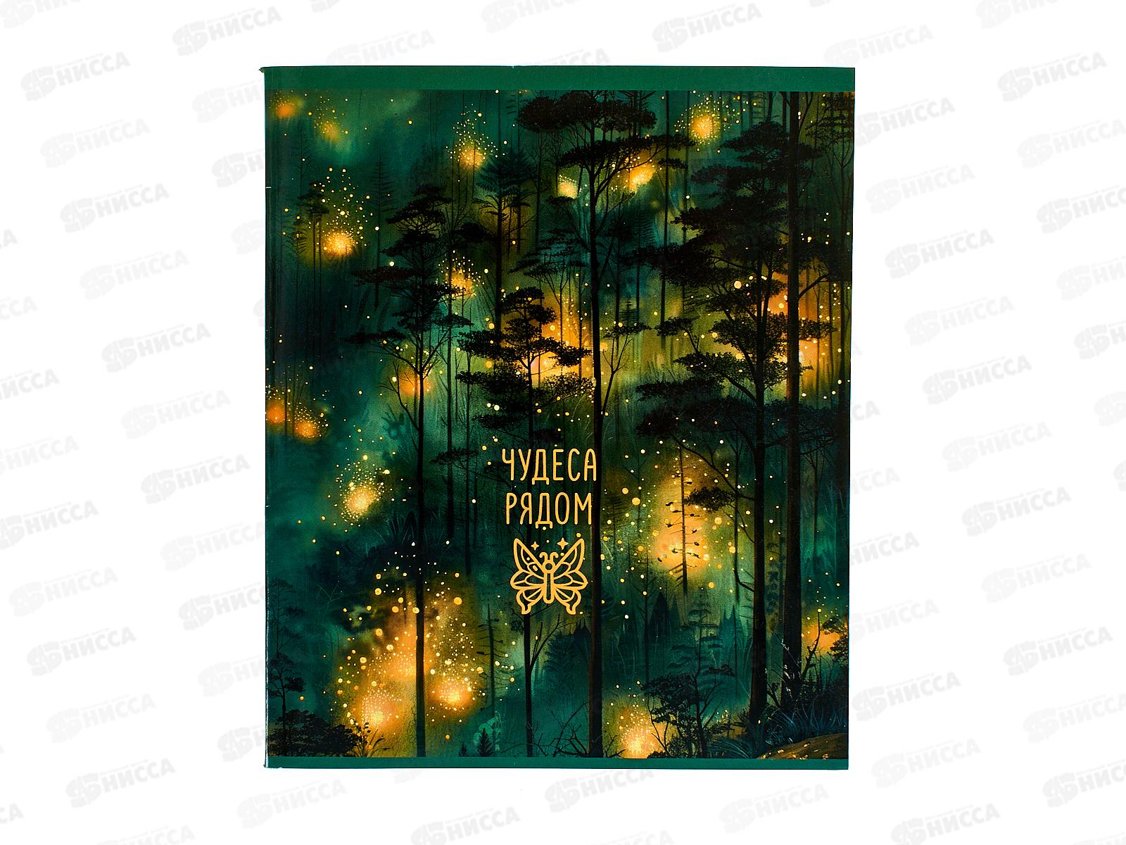 Тетрадь 48л кл. ПЛН Magic forest, скрепка 4 диз. 25004 *40