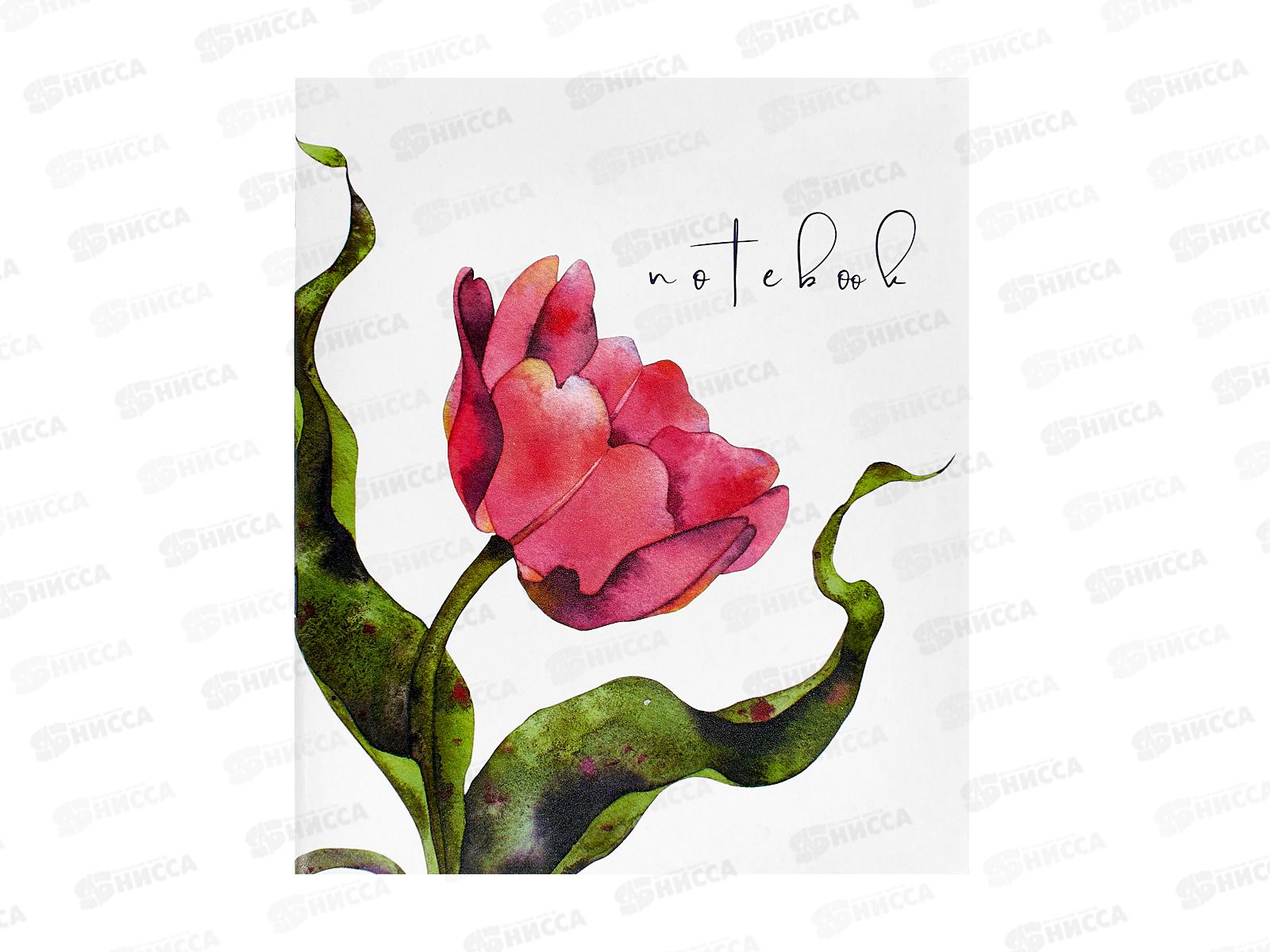 Тетрадь 48л кл. ПЛН Beautiful Tulips, скрепка., 3201 *30