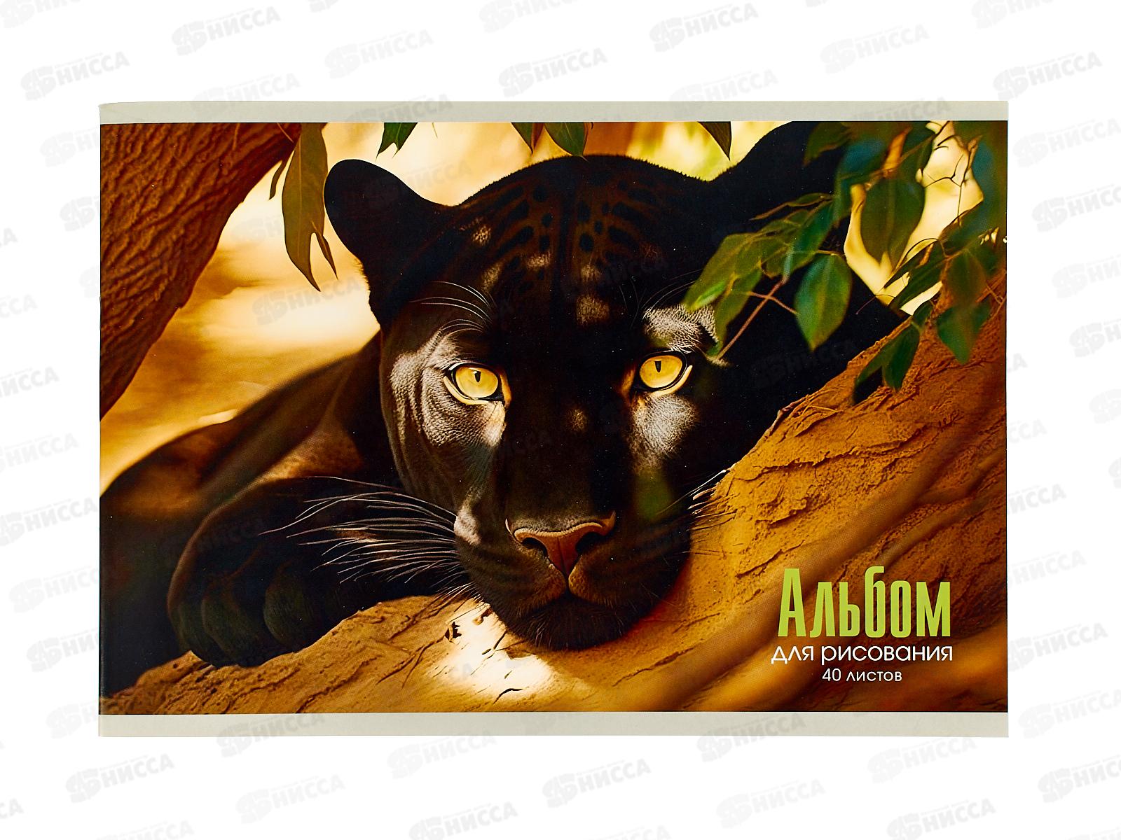 Альбом д/рис.40л ЭКСМ Пантера мел.карт. скрепка А402555 *30