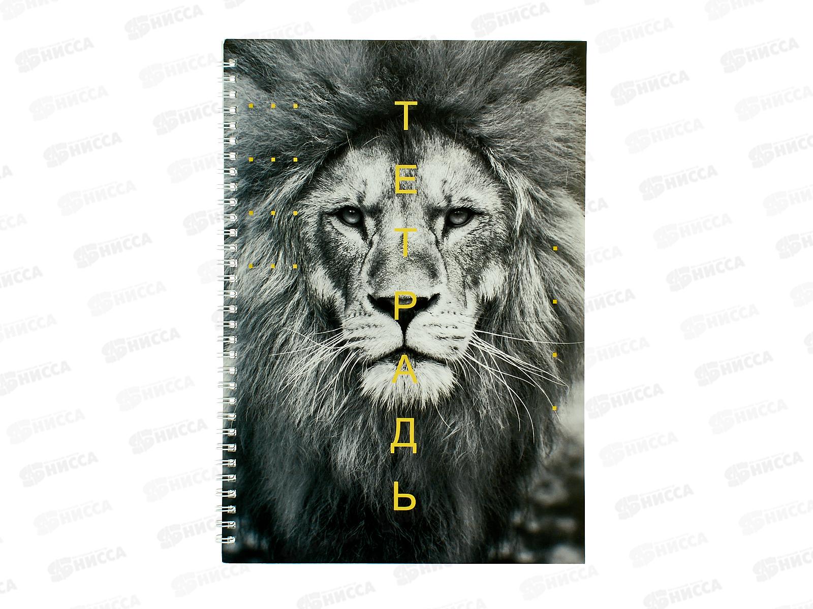 Тетрадь 60л кл. ЭКСМ А4 Лев, греб. ТС4605031 *6/30