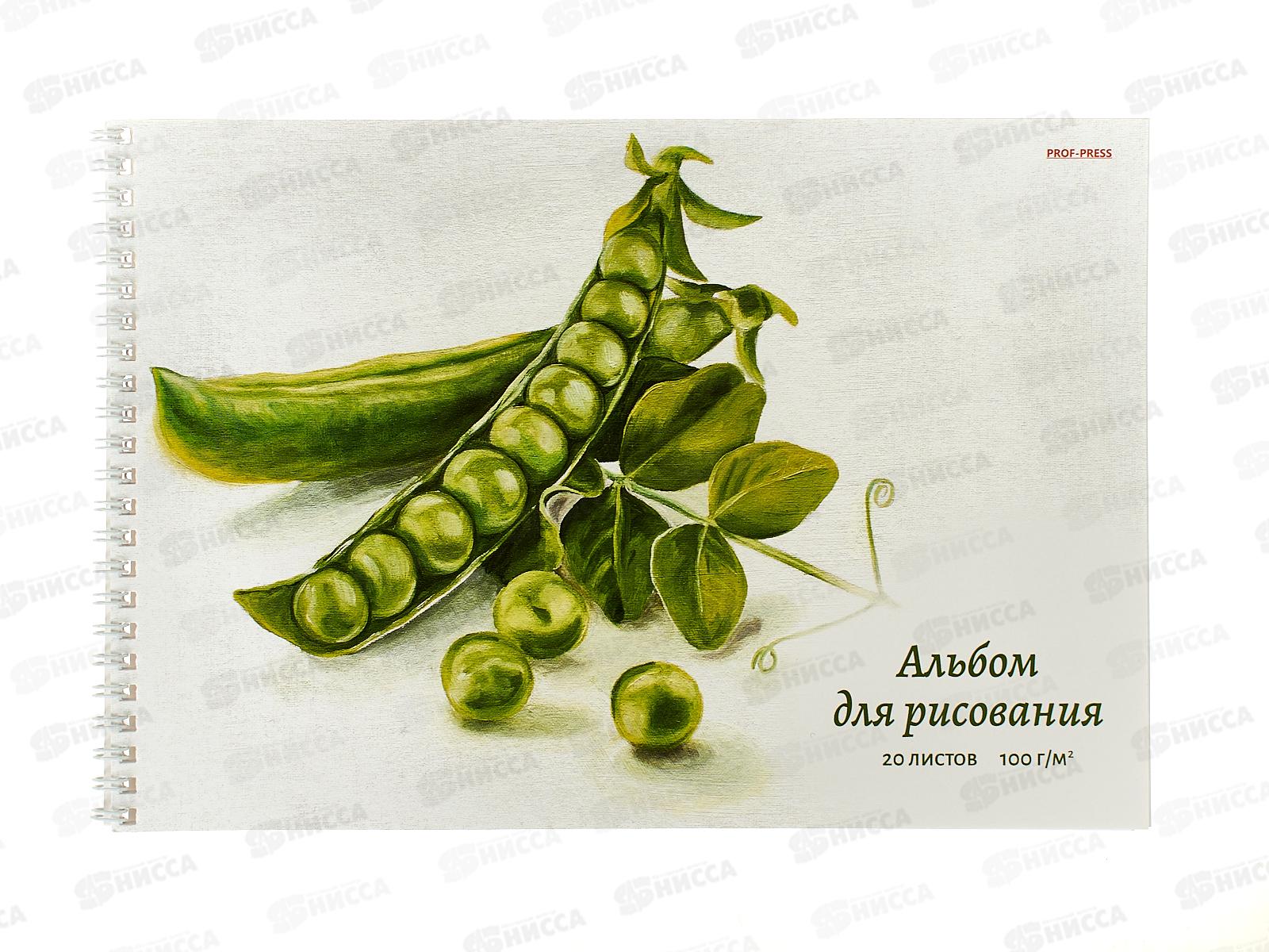 Альбом для рисования 20л ПП Изящный натюрморт, 2диз., на гребне, 20-5106