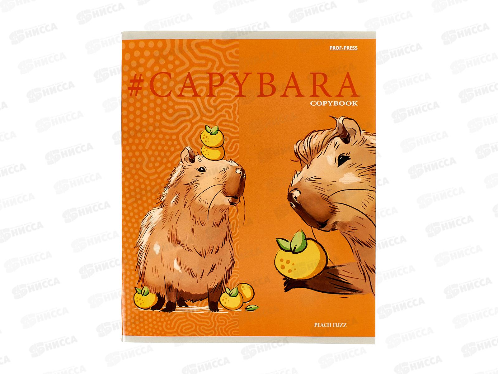 Тетрадь 48л кл. ПП Капибара Краш, 48-3787 *10/100