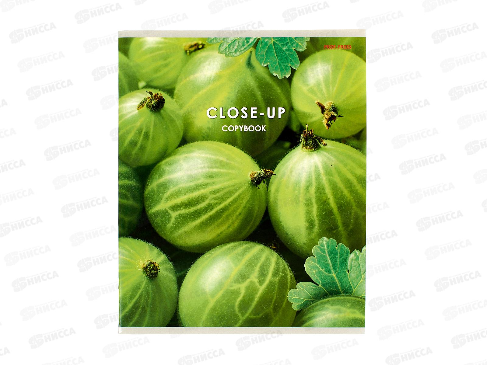 Тетрадь 48л клетка ПП Ягодное фото, 48-3994 *10/100