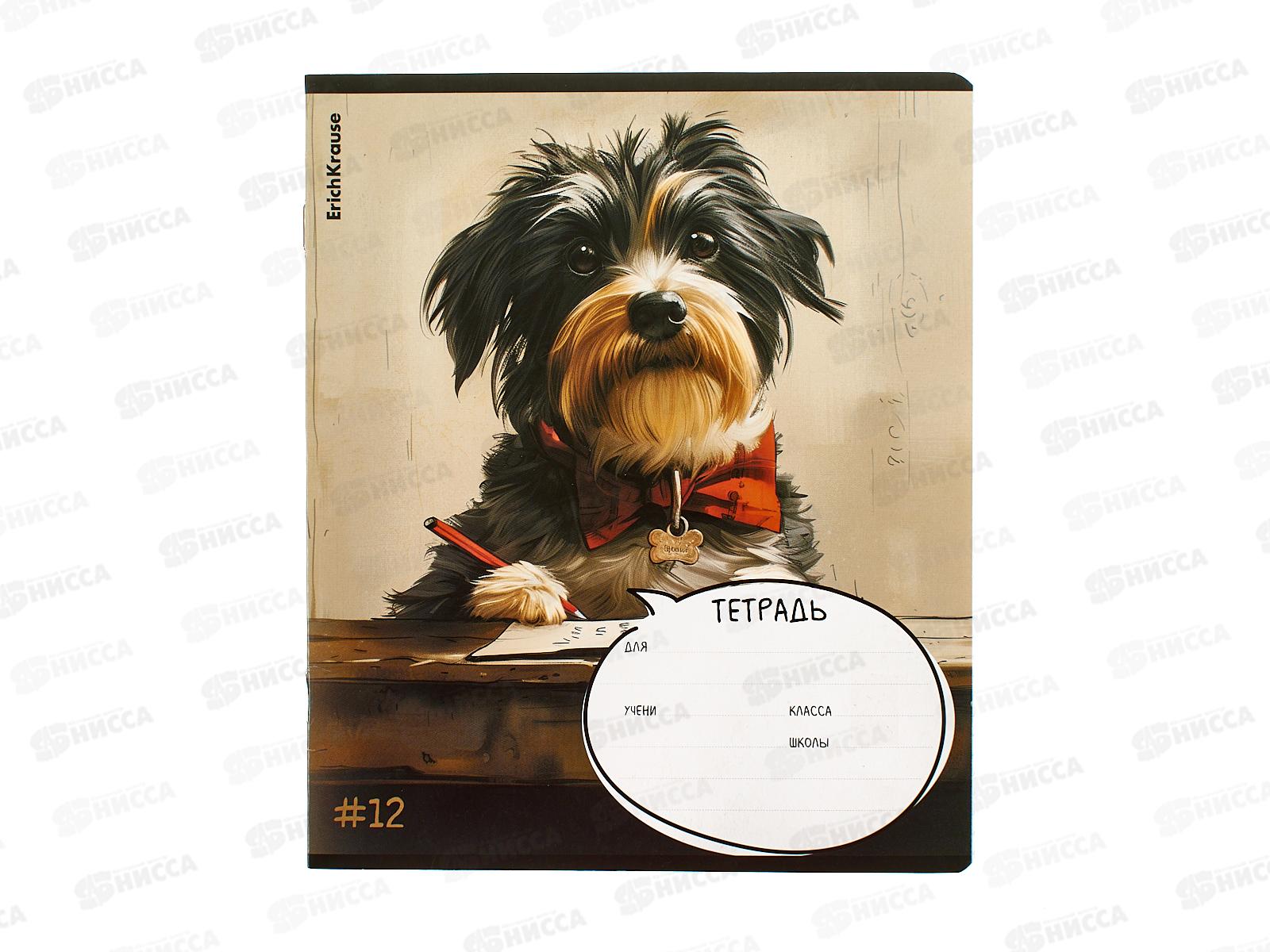 Тетрадь 12л кл. ПОЛИ Funny Friends, 63234 *10/280