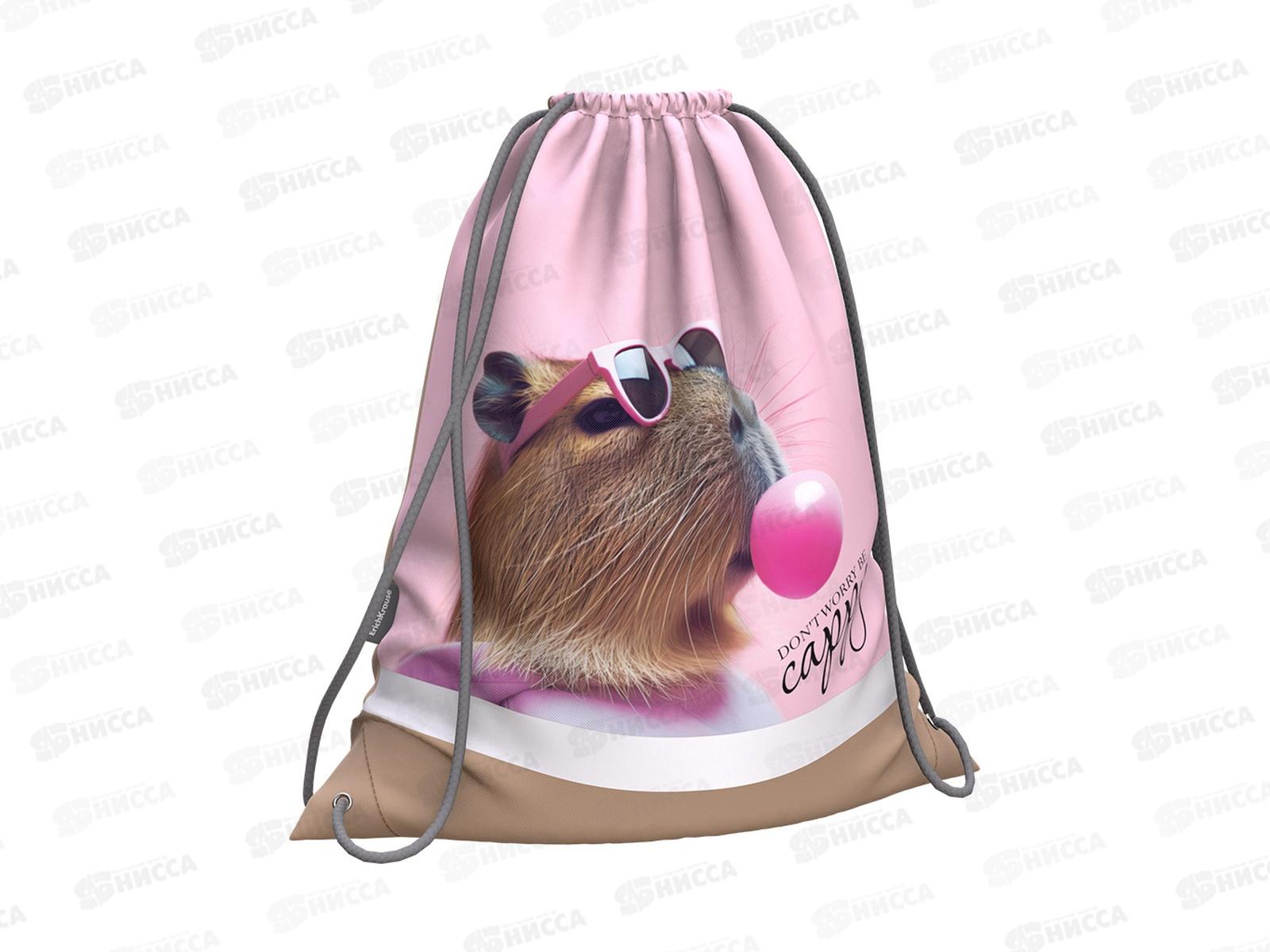 Мешок д/обуви EK CapyBarbara 365*440мм  62831 *1