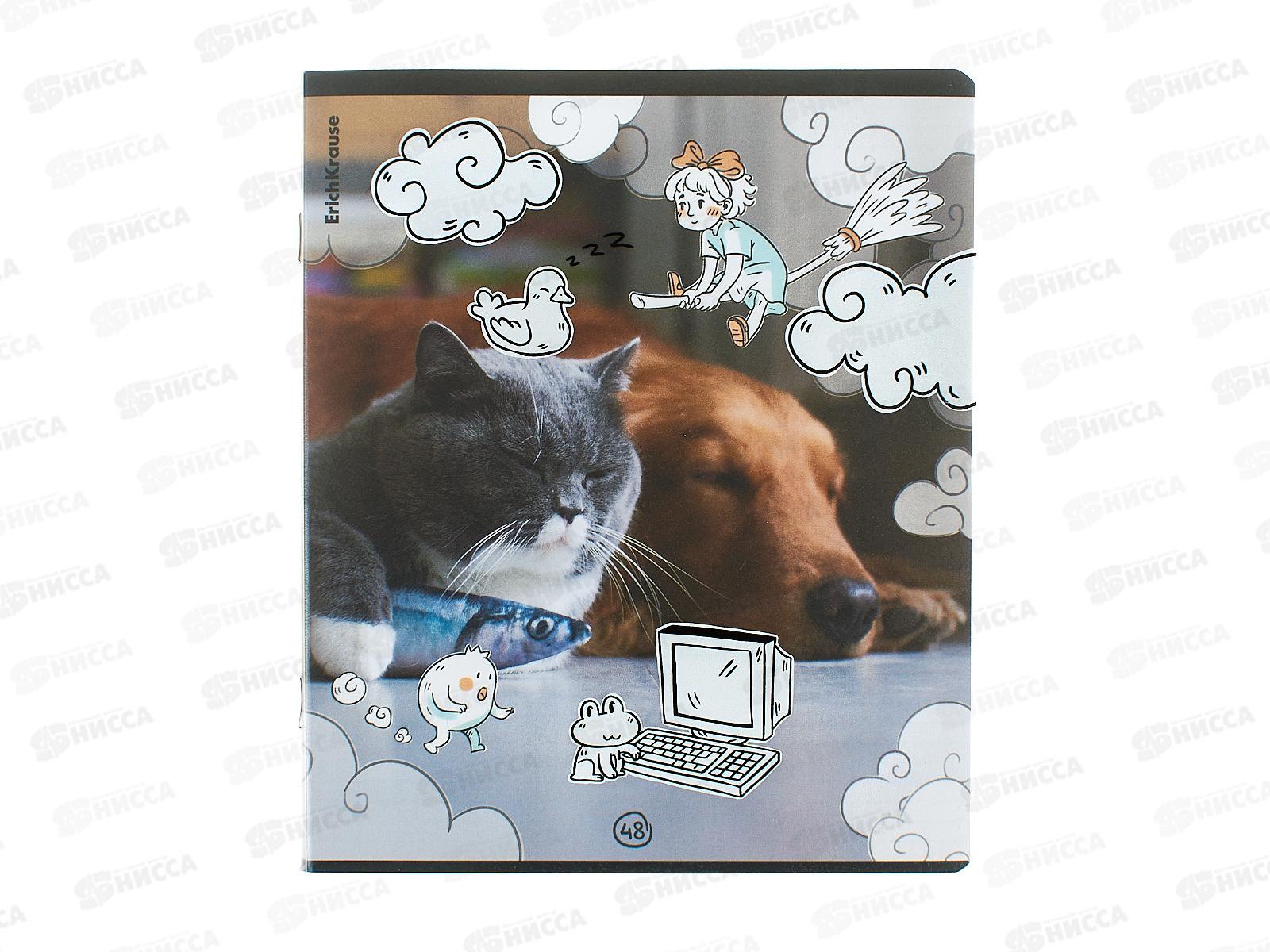 Тетрадь 48л кл. ПОЛИ Dream Cat, с пласт. обложкой 54161 *10/100