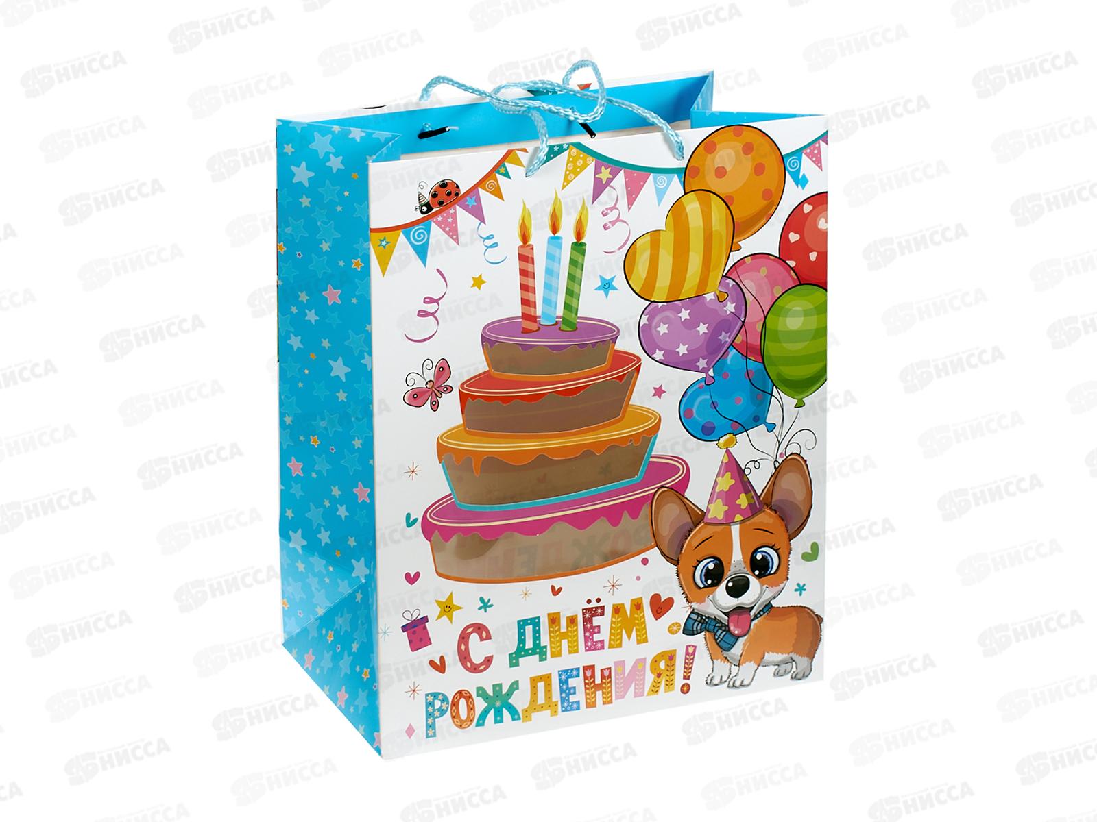 Пакет подарочный 26*32*14см с окошком детский, L, PWL-118365-НВ  *12