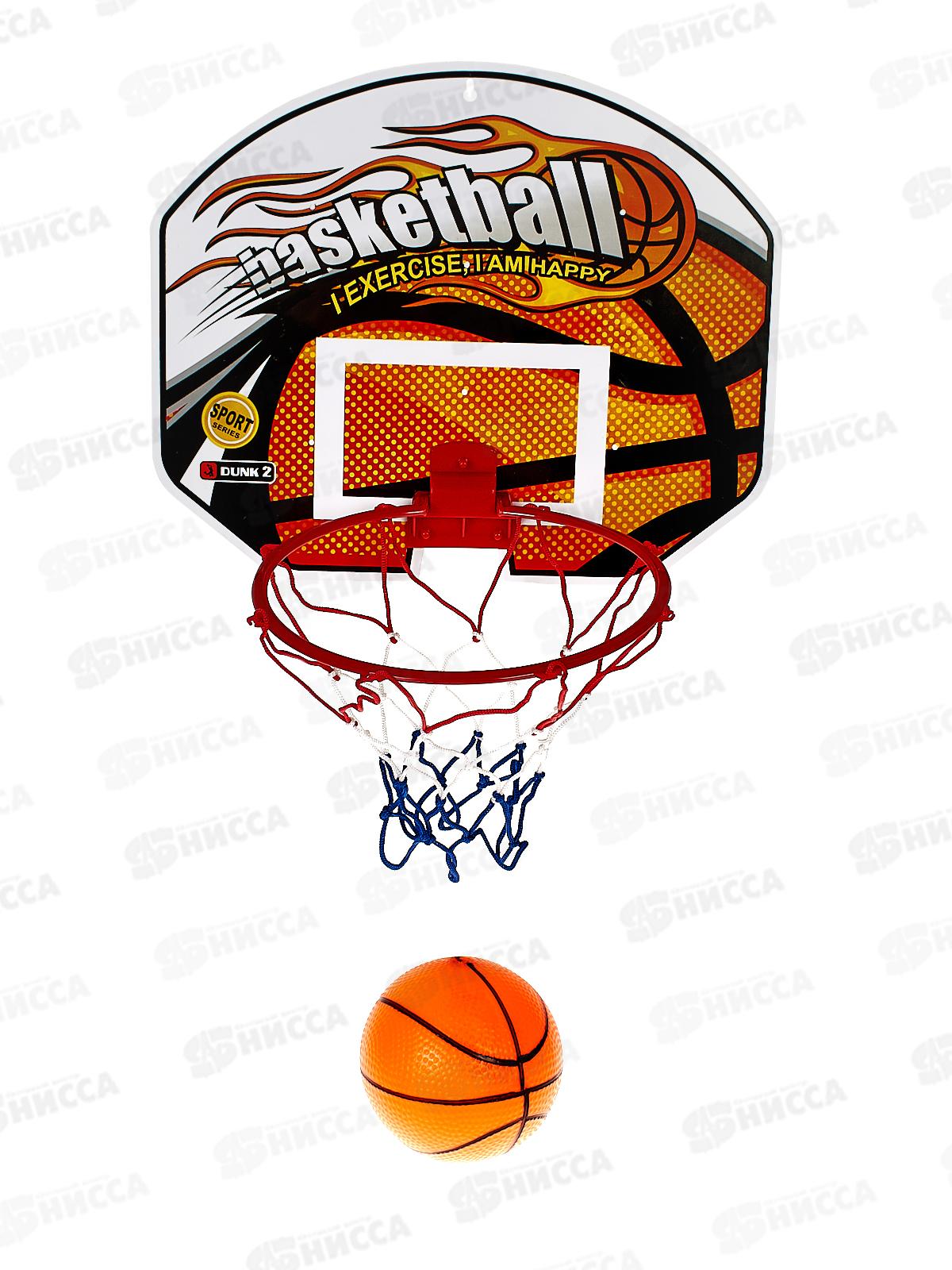 Набор для игры в баскетбол В2813294 в сетке