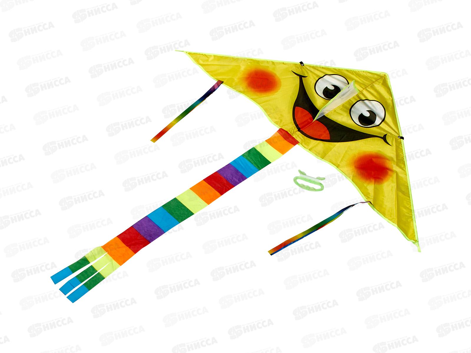 Воздушный змей F103D, В2206288 в пакете