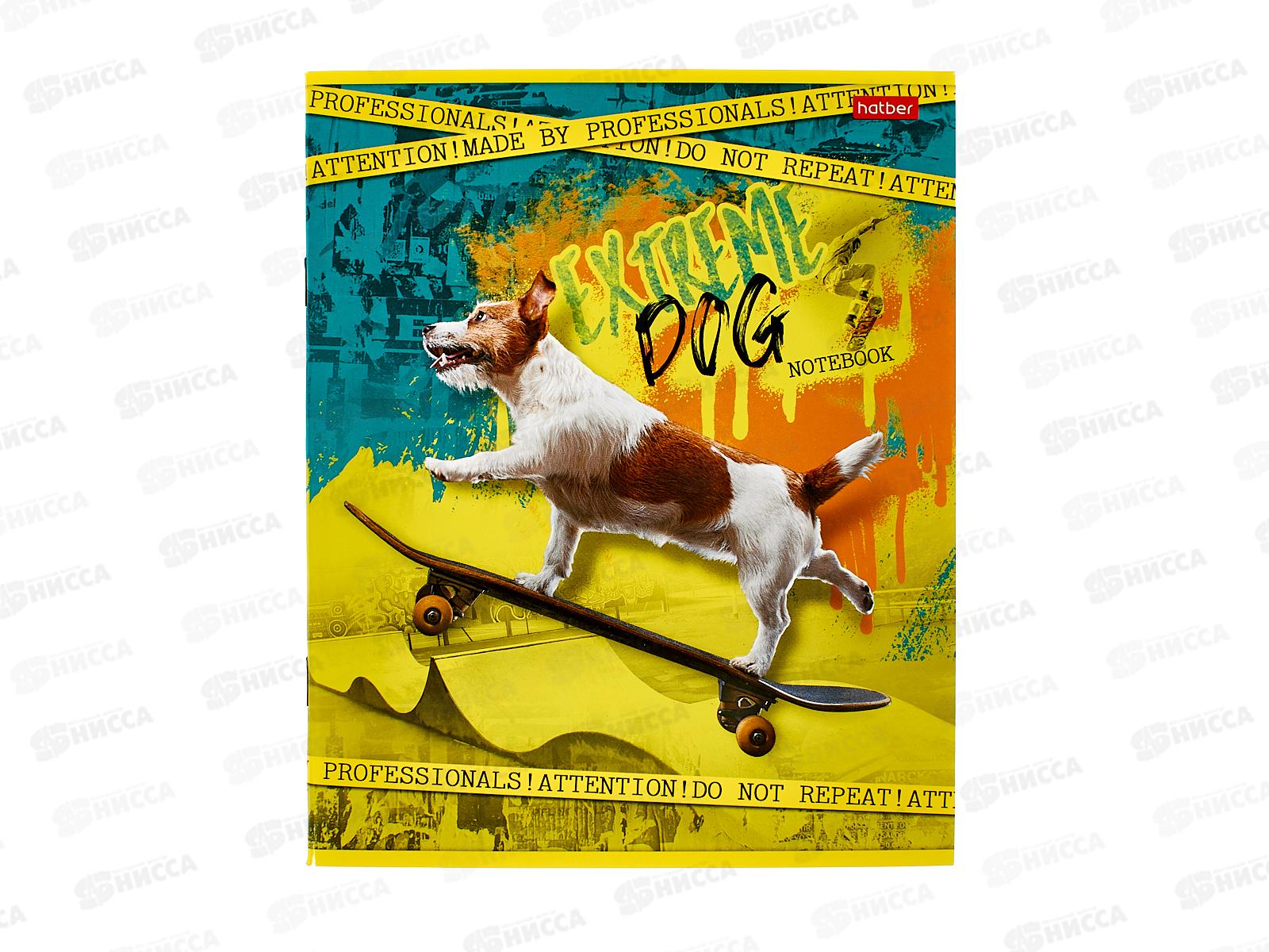 Тетрадь 40л кл. ХАТ Собачий драйв, на скобе 40Т5В1 *10/100