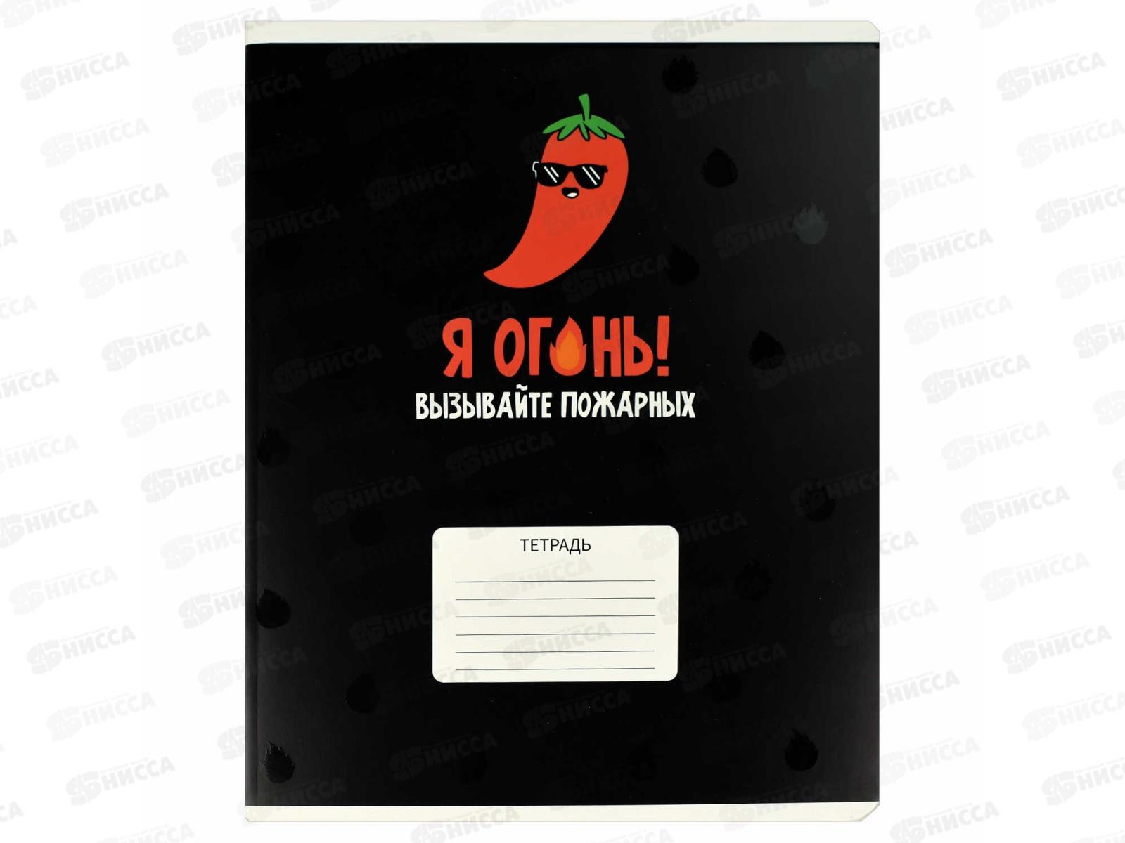 Тетрадь 24л кл. ФЕН Герои с характером, офс., выб.УФ, 68545 *20/120