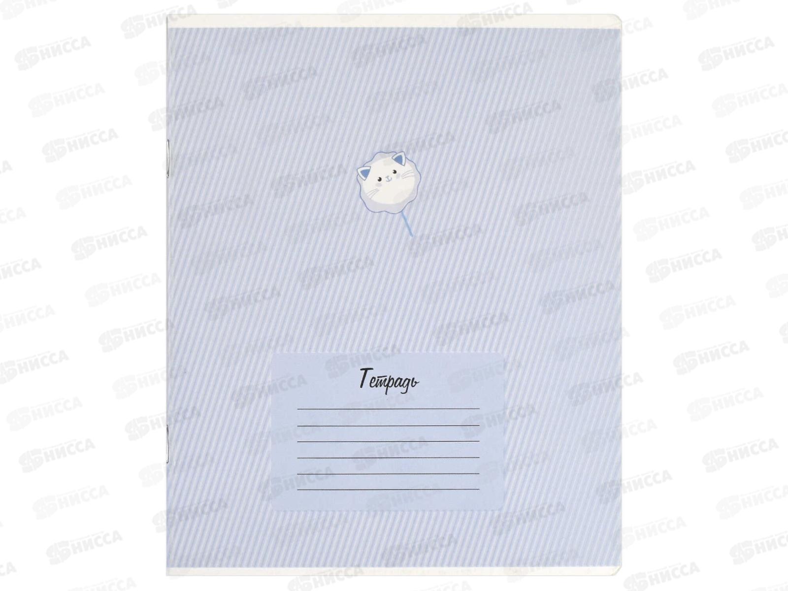 Тетрадь 24л лин. ФЕН Яркая сладость, офс., ассорти, 66696 *20/120