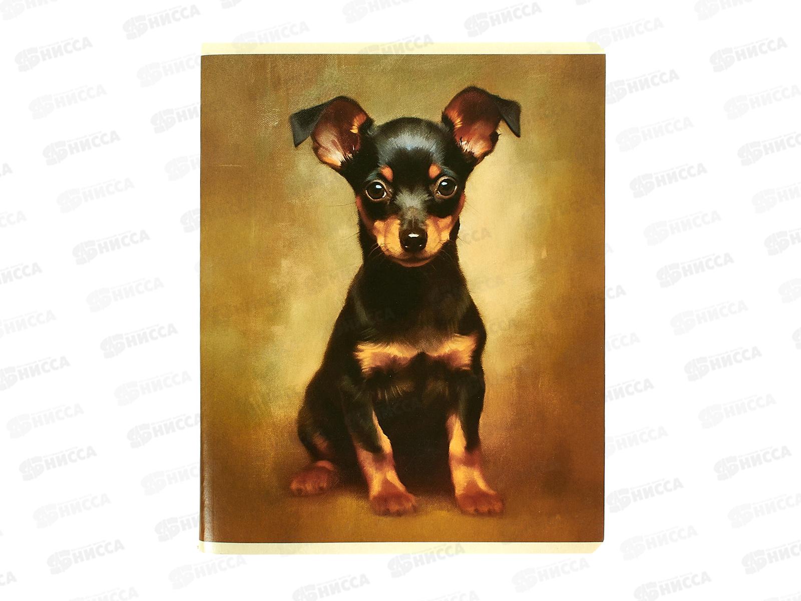 Тетрадь 96л кл. АКАД Декоративные собачки Грин EAC-15197/5 *30