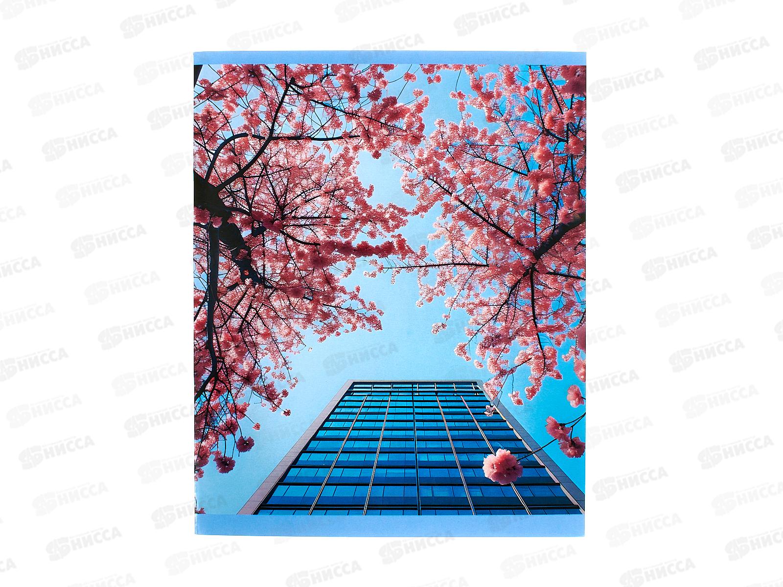 Тетрадь 48л кл. LAMARK Весна. на скобе 4824-28  *5/100