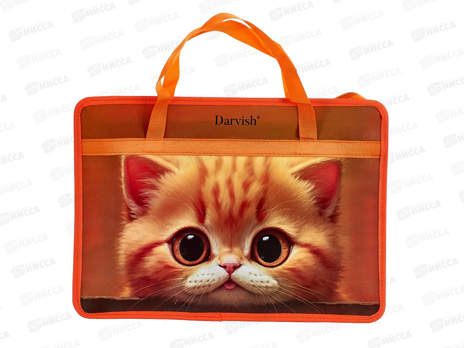 Папка дет. А4 с ручками Darvish Рыжий котенок DV-14113-15 *20
