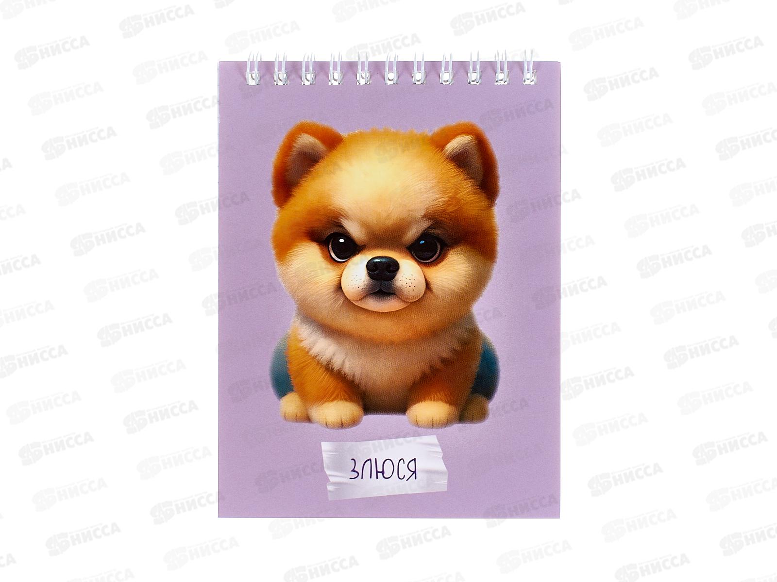 Блокнот 60л ЭКСМО А6 Злюся, гребень, клетка БСК660369 *40