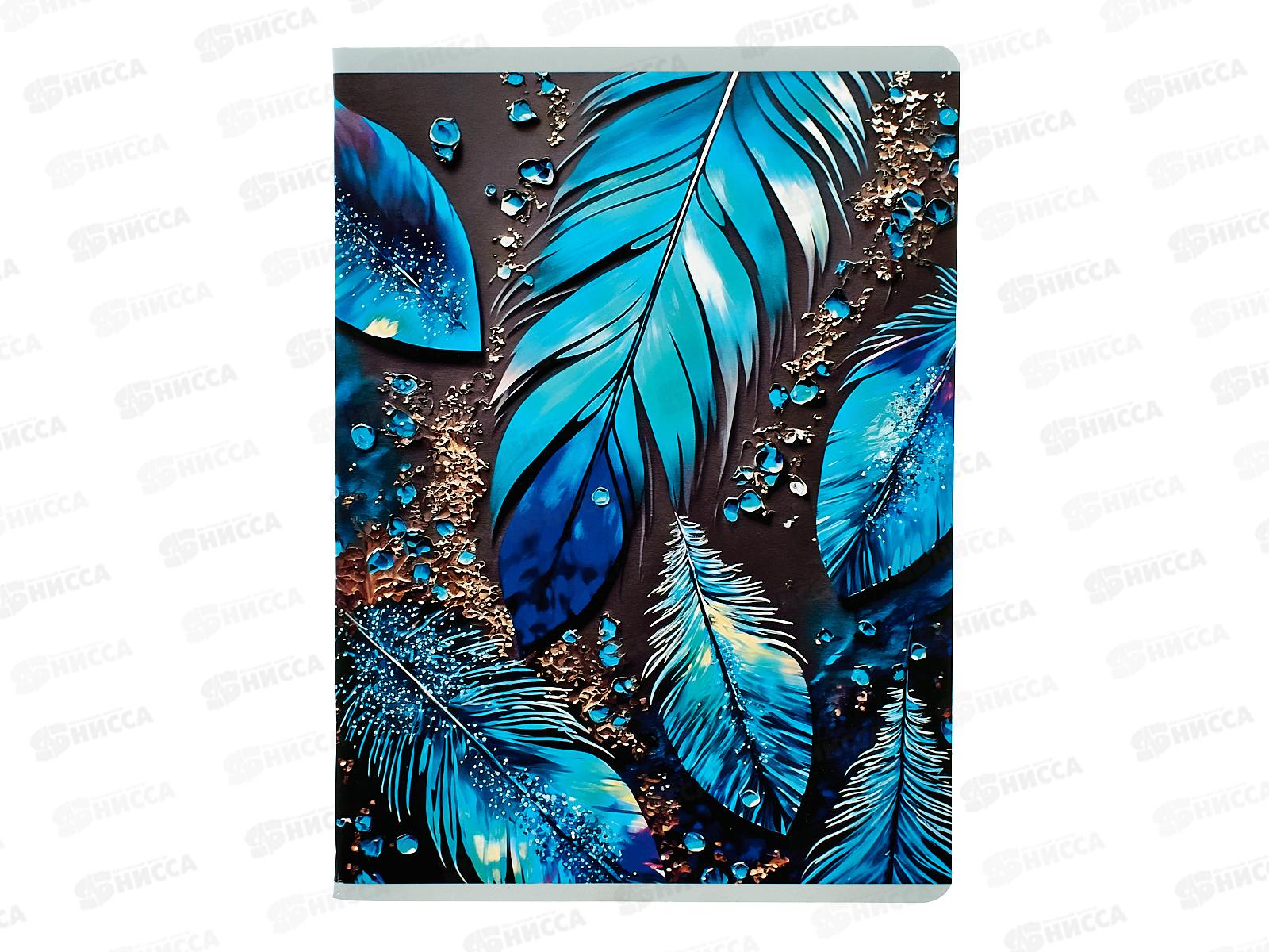 Тетрадь 96л кл. ЭКСМ А4 Сияние, ТЛ4965160 *5/30