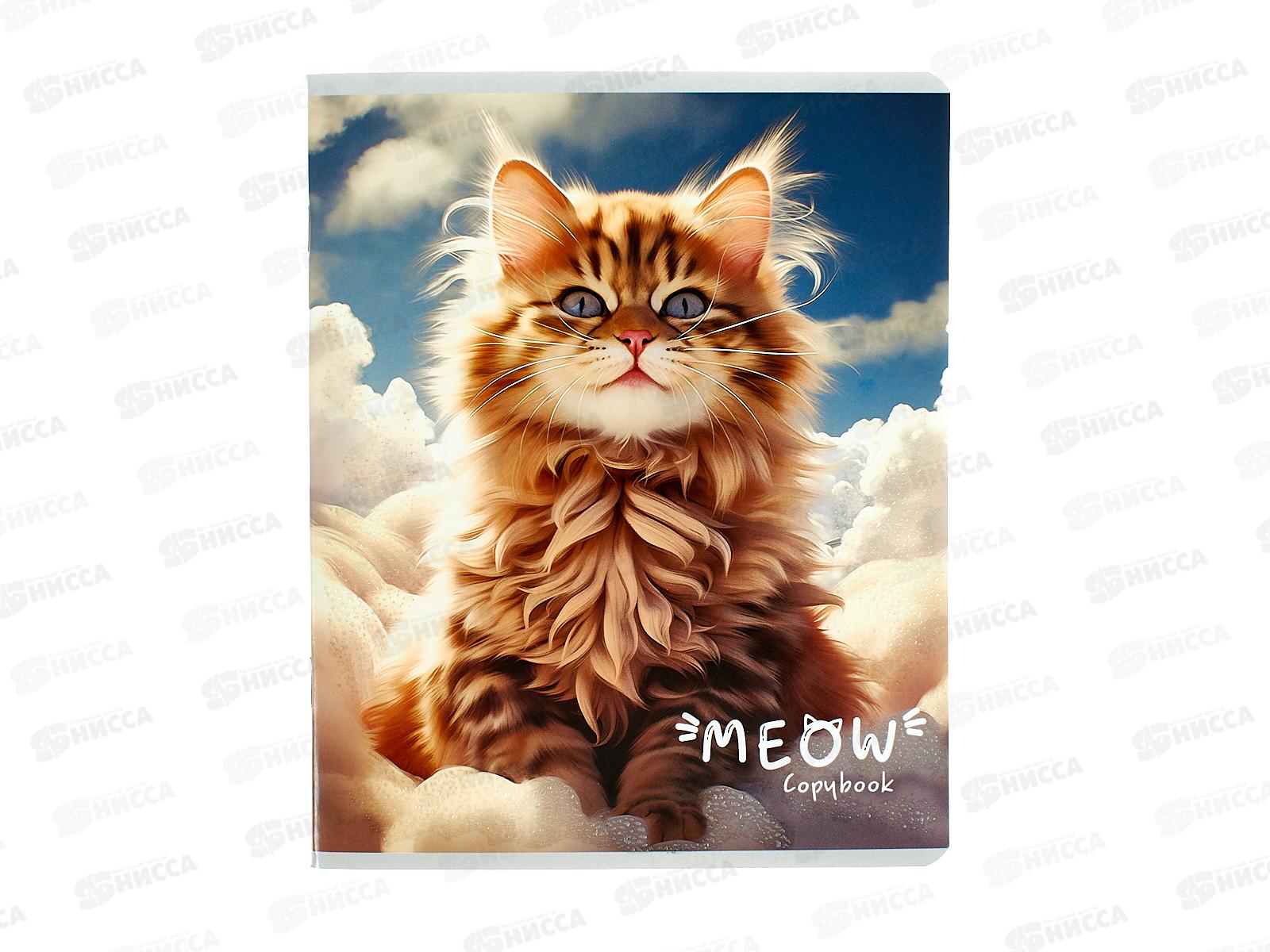 Тетрадь 48л кл. Collezione Воздушные котики, 5диз., 48-5143 *5/100