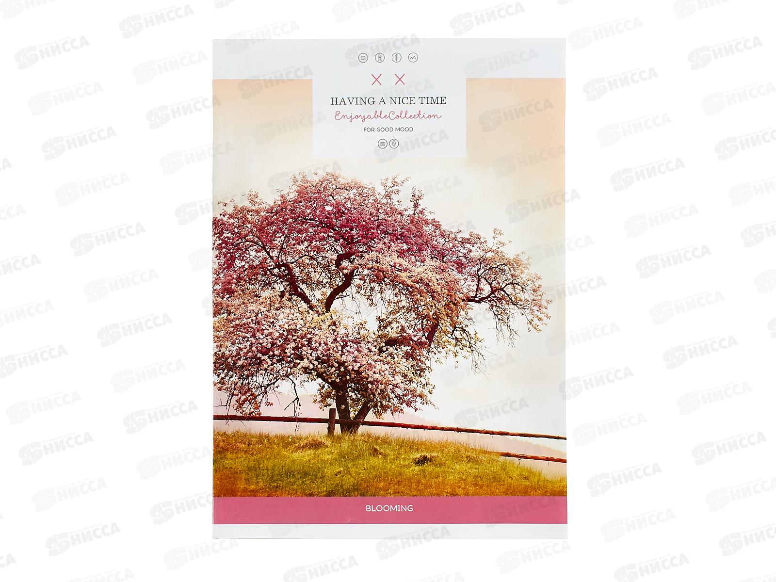 Тетрадь 80л лин. ПЗБМ А4 Дерево, 028097 5/30