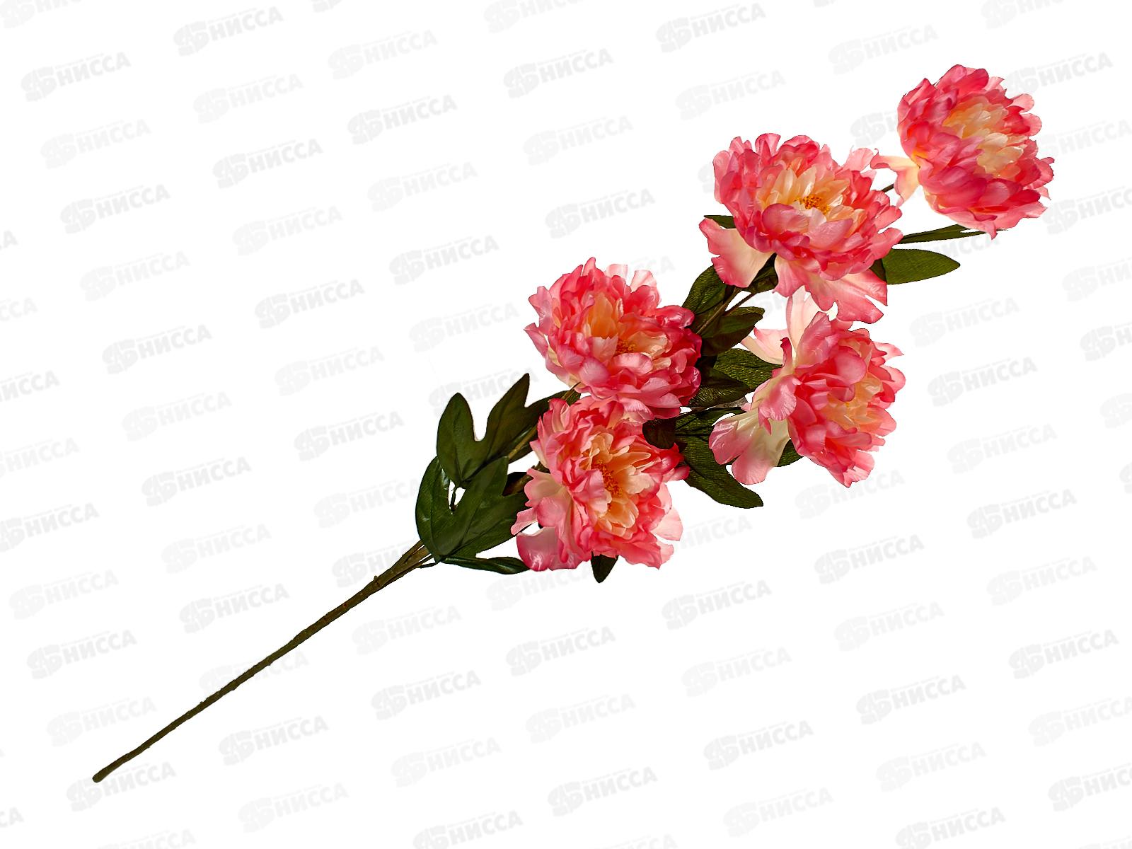 Букет 120см 5гол №103 81144  *1*20  Б