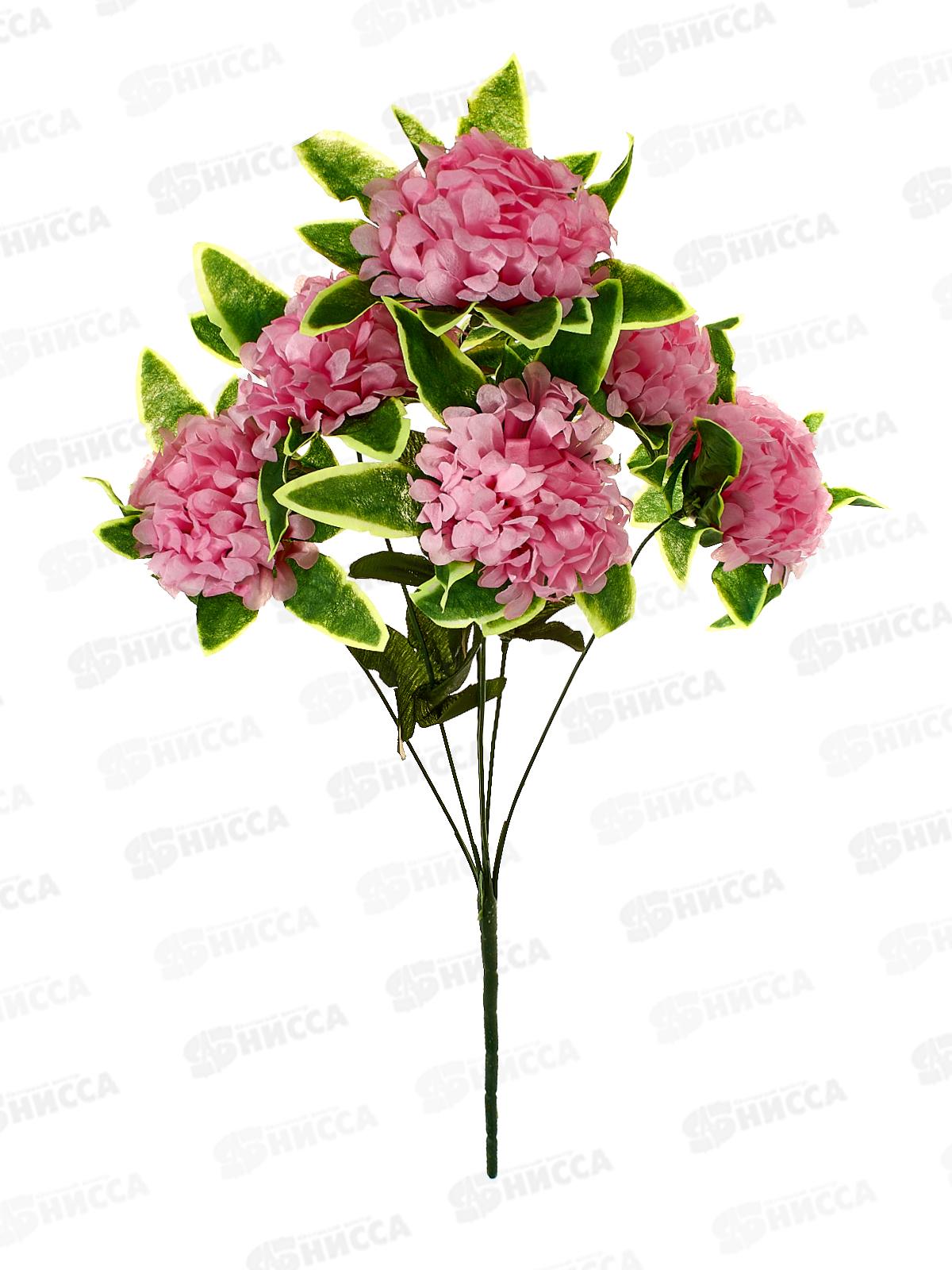 Букет 52см 6гол №263  81248 *20  Б