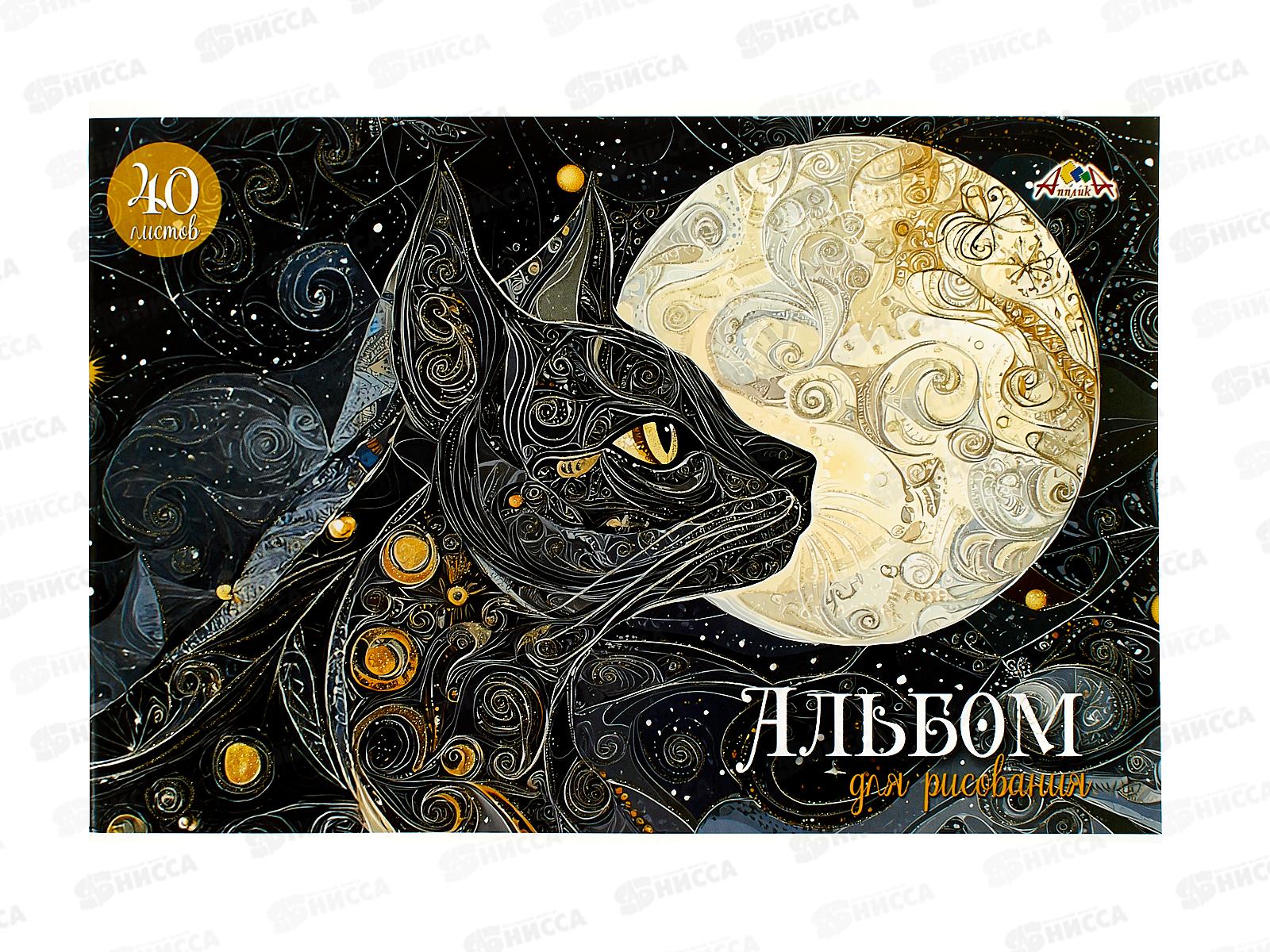 Альбом д/рис.40л Апплика,Черная кошка ,С0587-36*30
