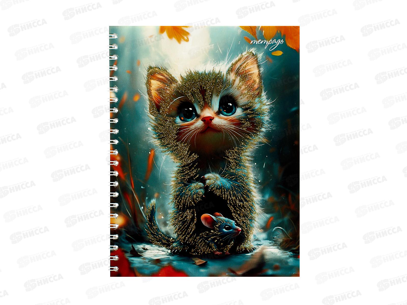 Тетрадь 48л кл. Апплика Котенок ,греб.  С0245-135*80