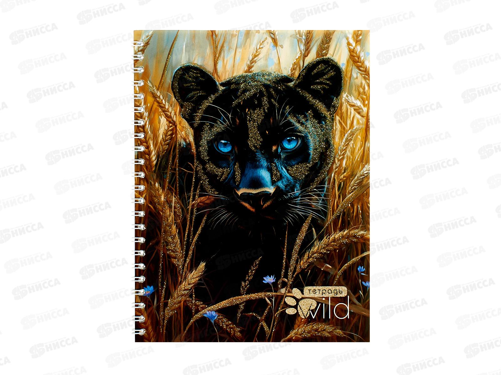 Тетрадь 48л кл. Апплика Черная пантера,греб. С0245-137*80