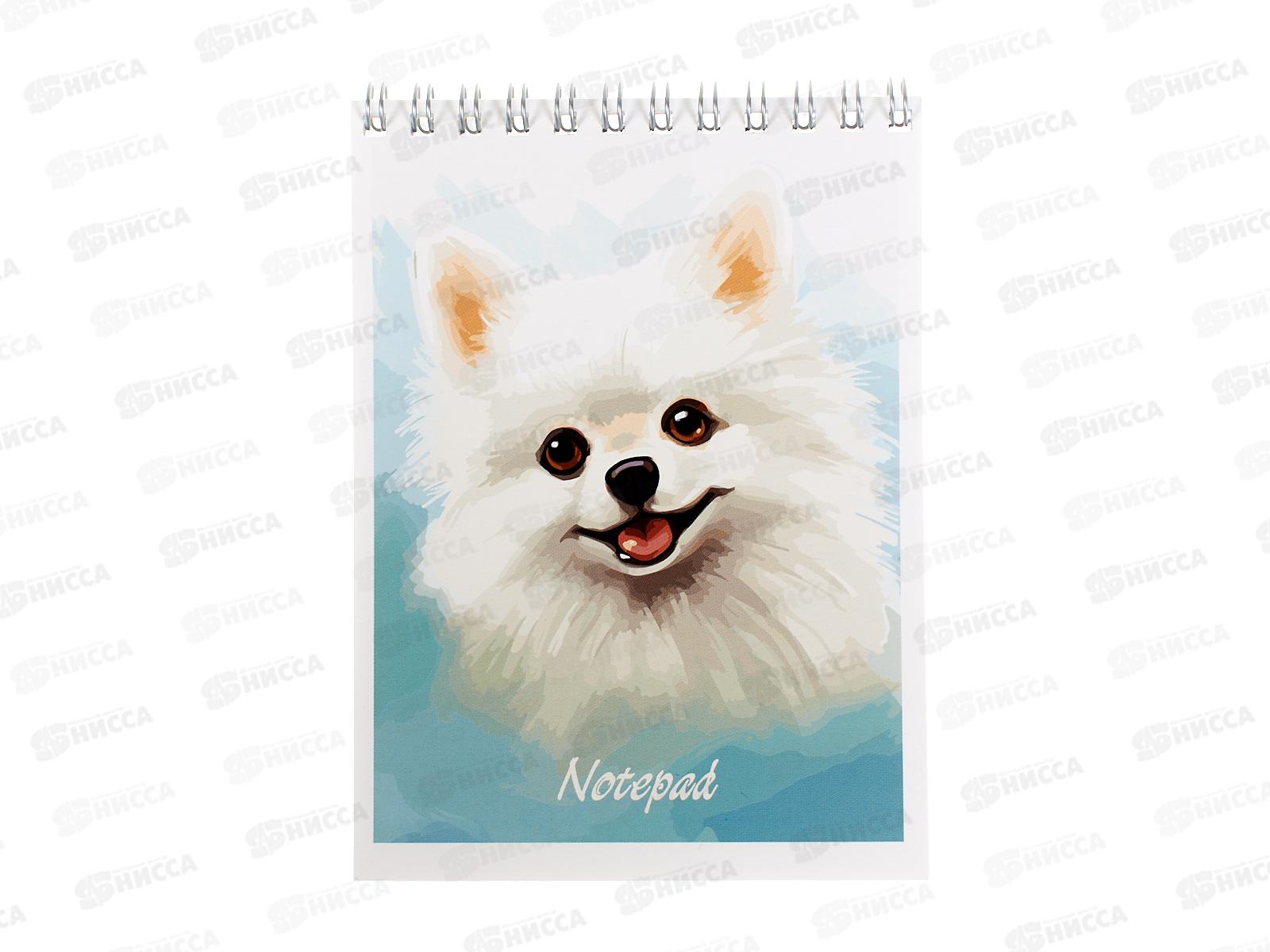 Блокнот 40л АКАД А6 кл. Белый шпиц  ЕАС-15423/2 *15/180