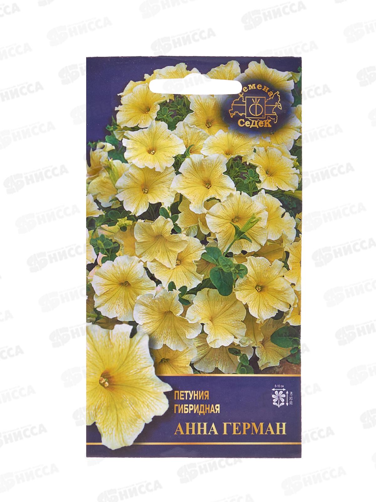 Петуния Анна Герман F1 (Евро, 5) СеДек *10