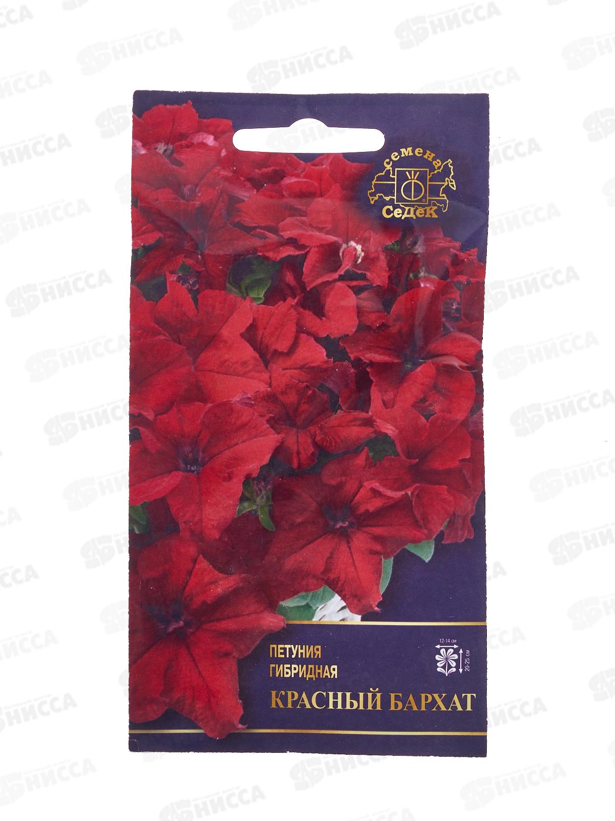 Петуния Красный Бархат F1 (крупноцветковая, красная) (Евро,5) СеДек *10 +
