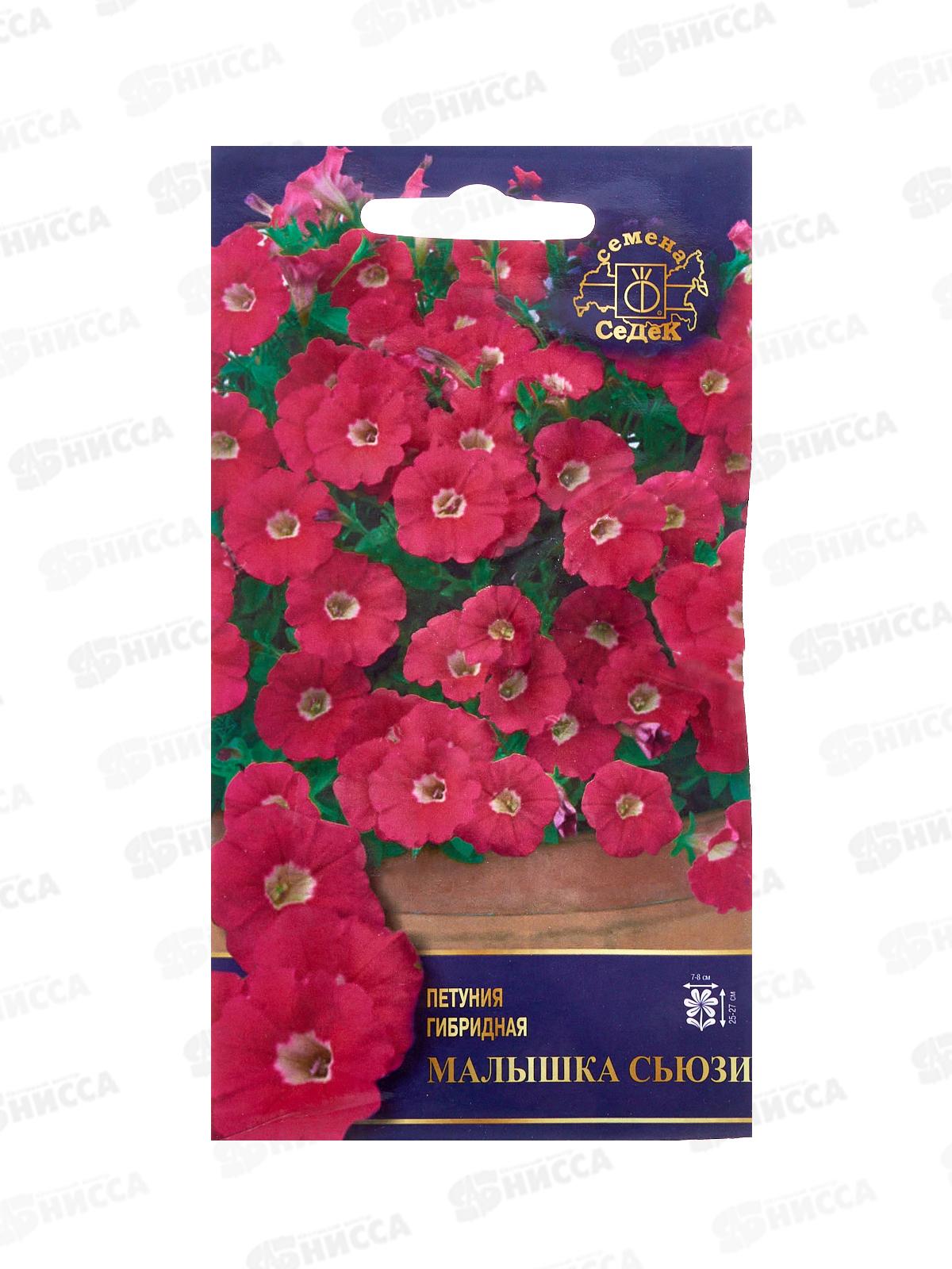 Петуния Малышка Сьюзи F1 (Евро, 5) СеДек *10
