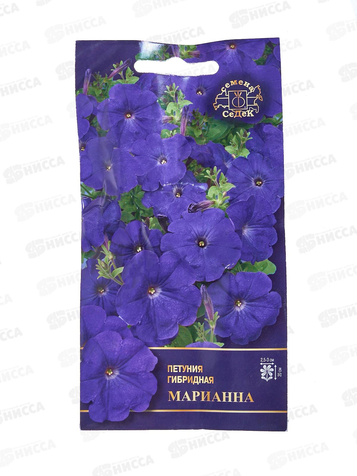 Петуния Марианна F1 (Евро, 5) СеДек *10