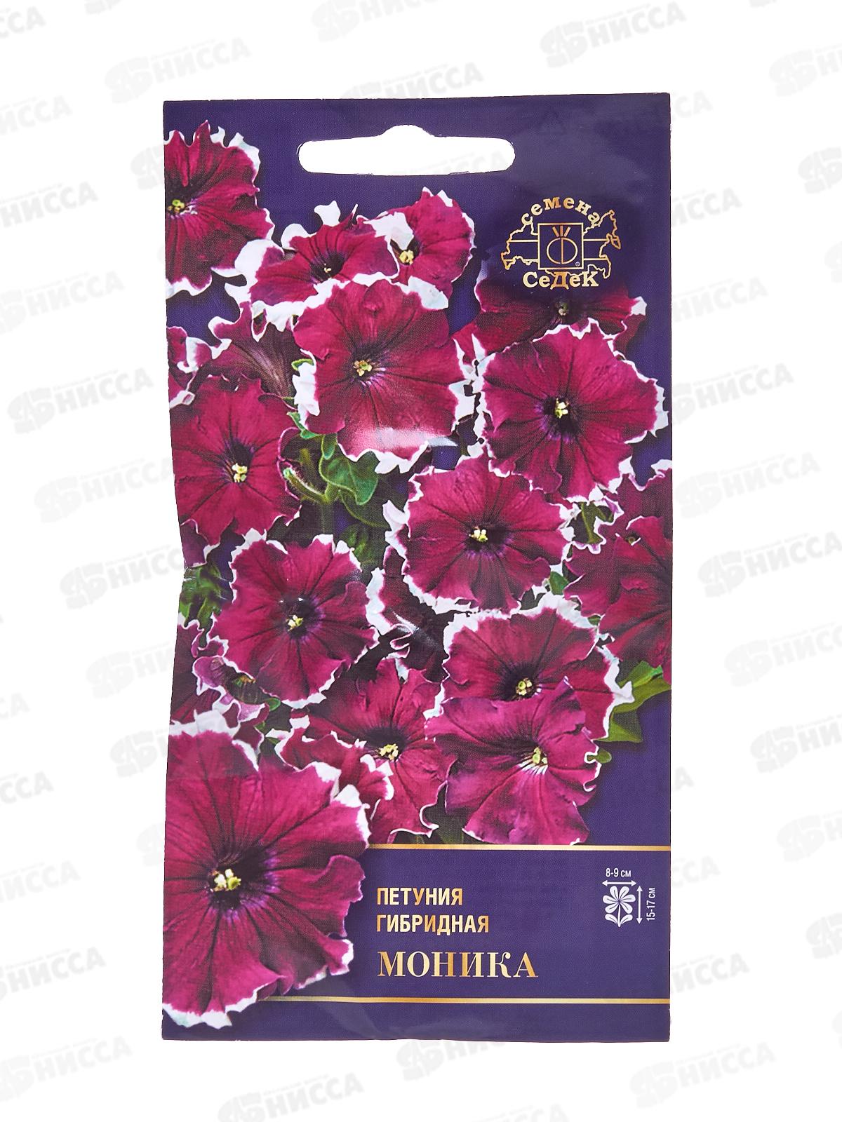 Петуния Моника F1 (многоцветковая) (Евро, 10) СеДек *10 +