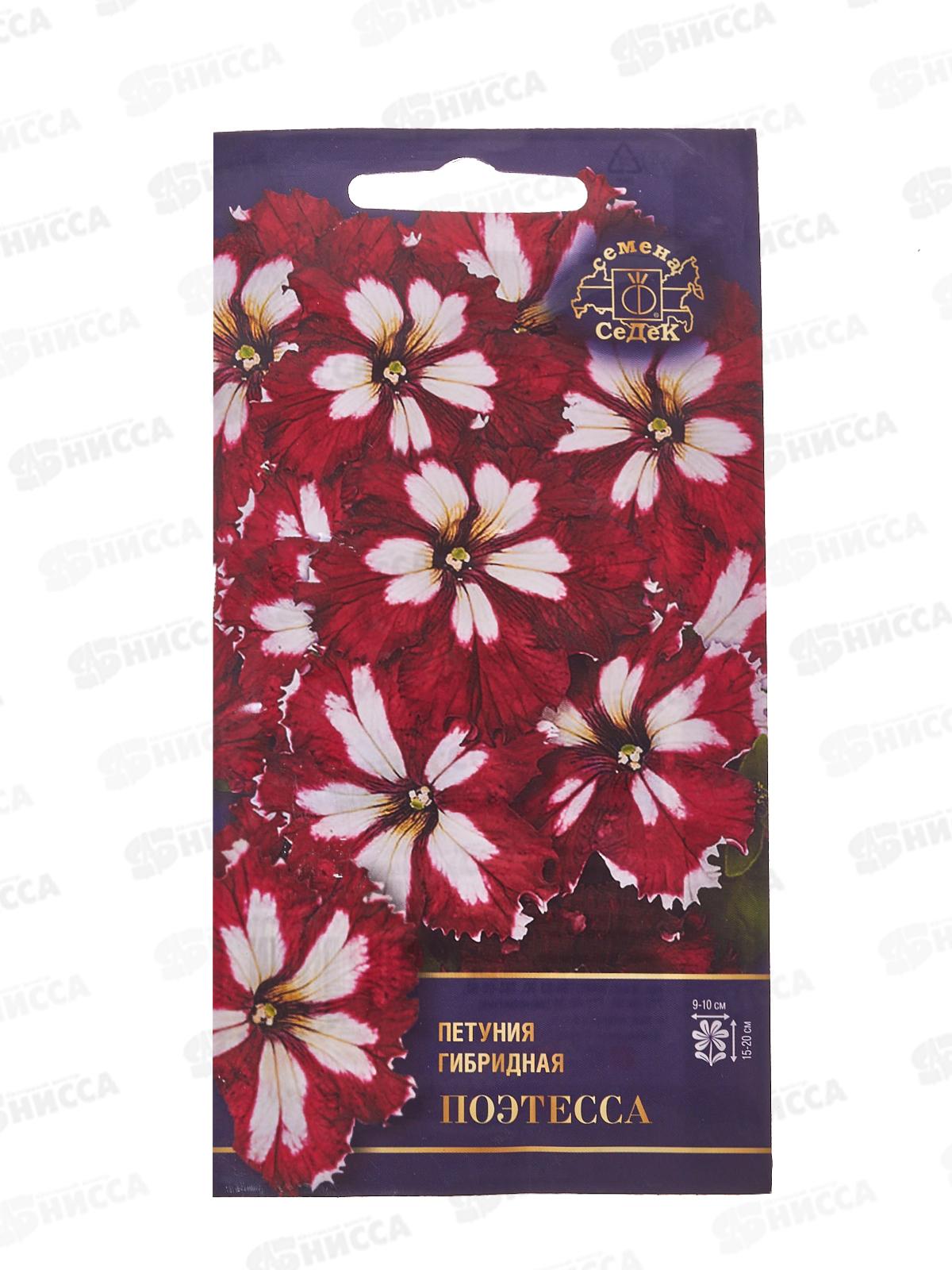 Петуния Поэтесса F1 (Евро, 10) СеДек *10