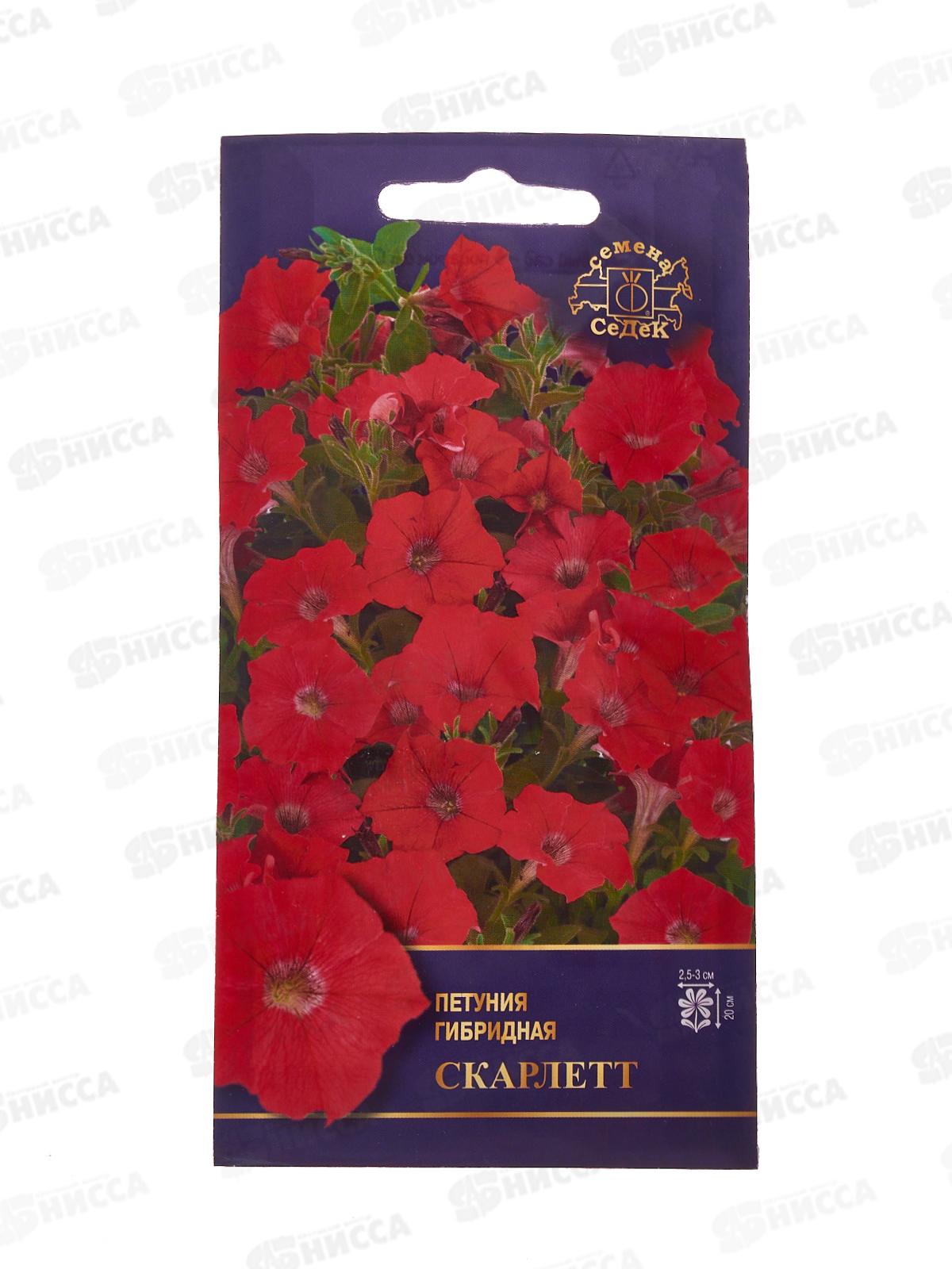 Петуния Скарлетт F1 (Евро, 5) СеДек *10
