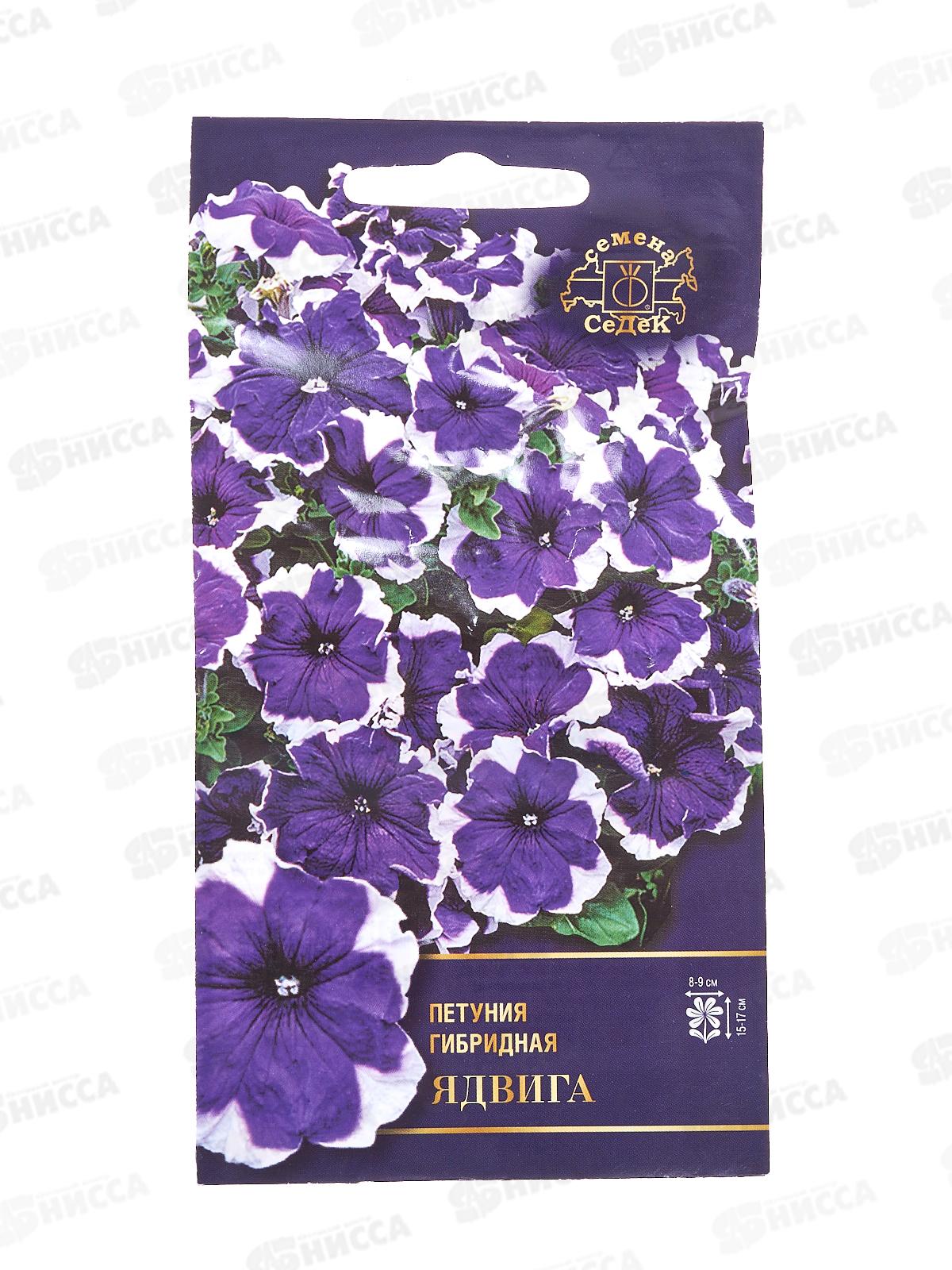 Петуния Ядвига F1 (Евро,10) СеДек *10