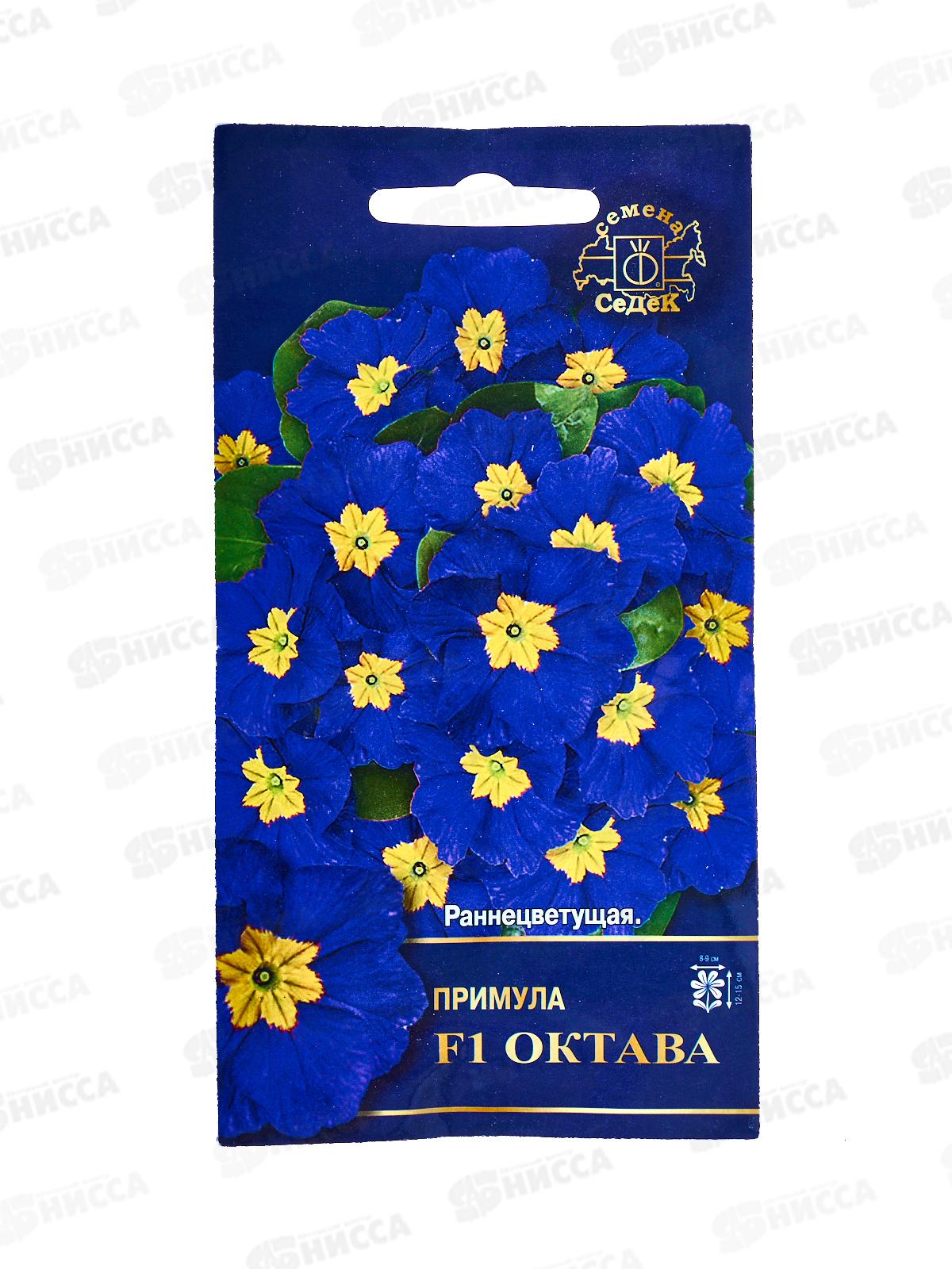 Примула Октава F1 (Евро, 5) СеДек *10