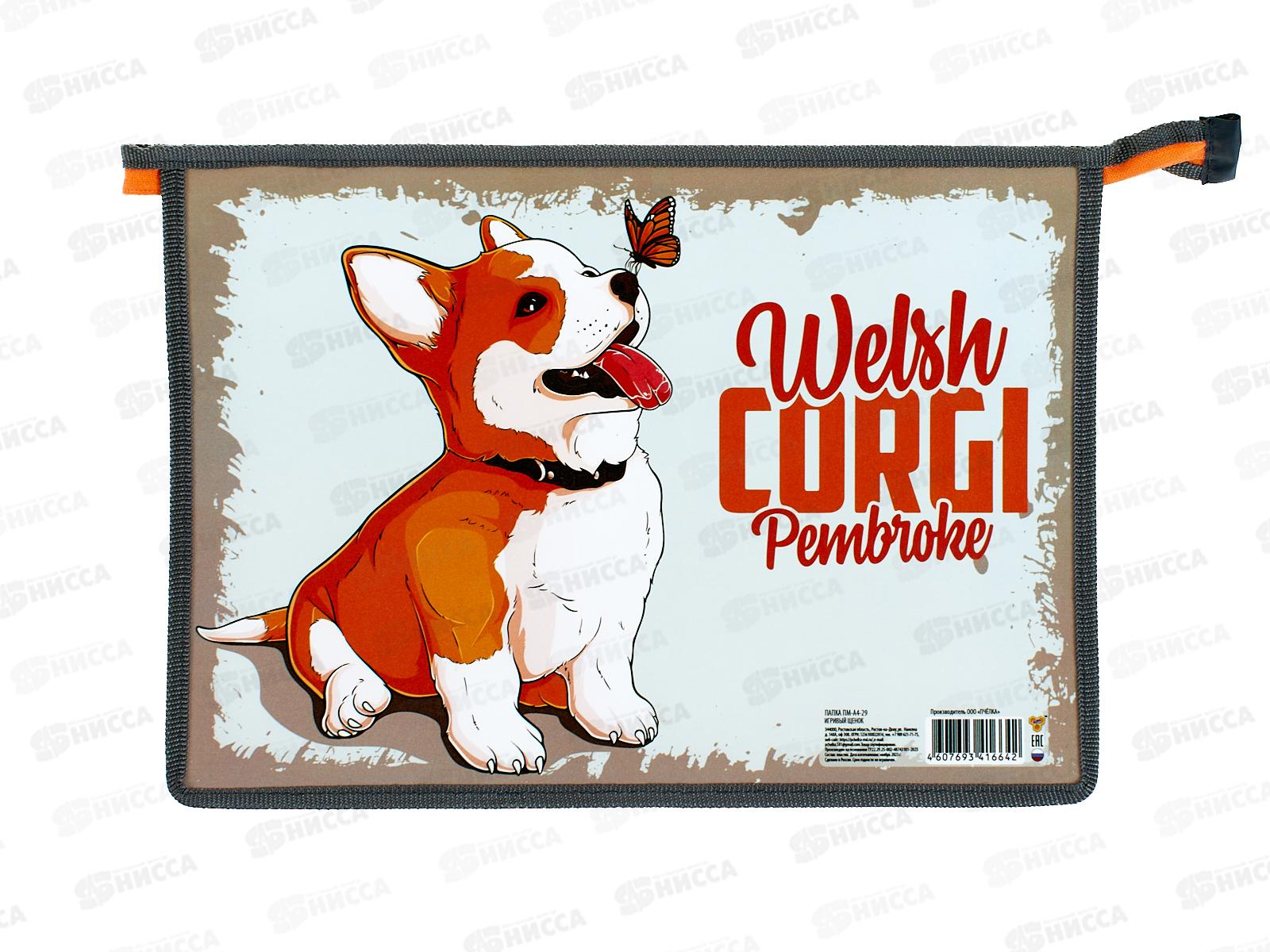 Папка пл. ПЧЕЛКА А4 Игривый щенок, асс., молн., ПМ-А4-29 *50