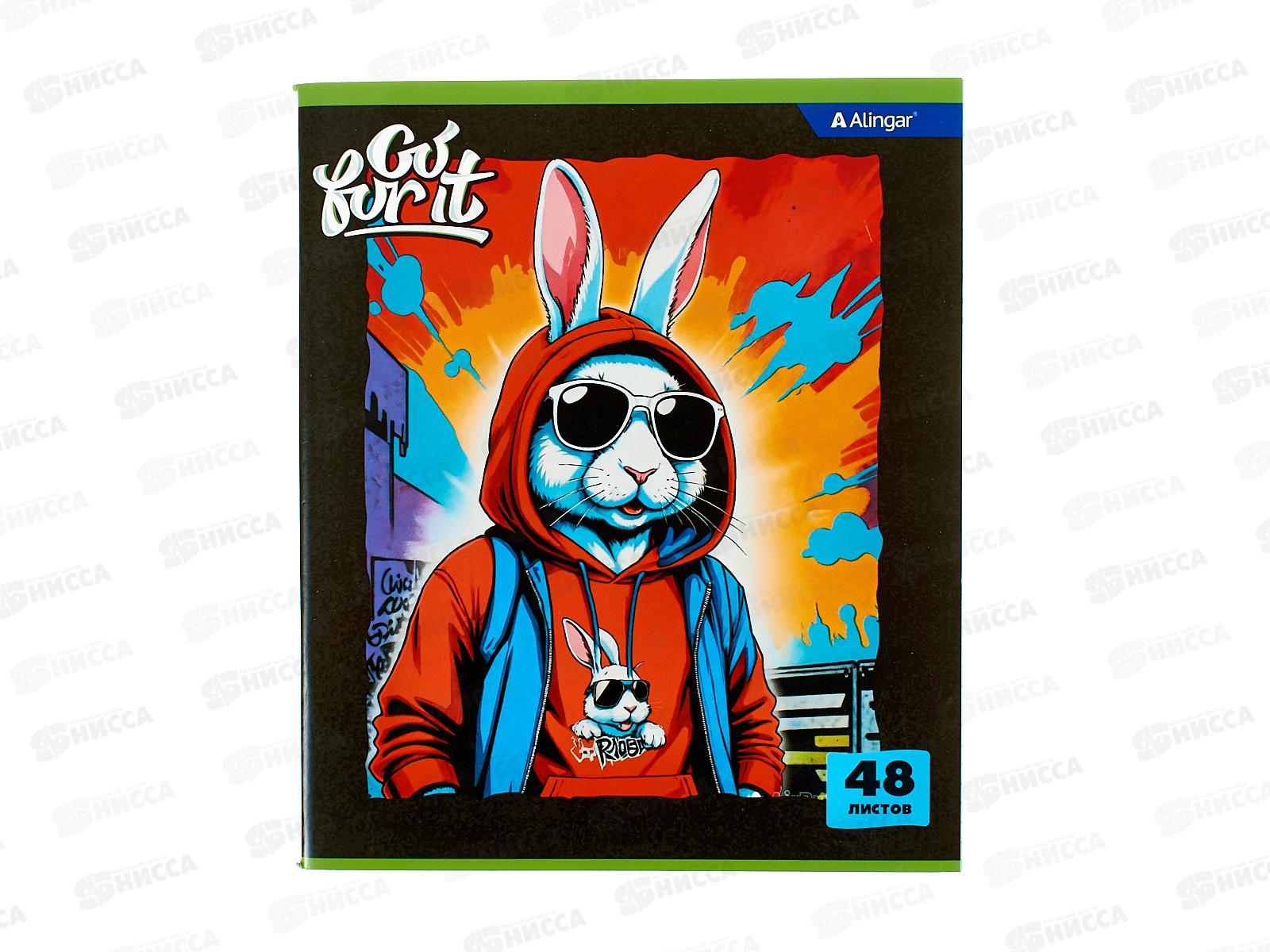 Тетрадь 48л кл. Alingar Go for it, мел, 4 дизайна.,  AL12076*8/80