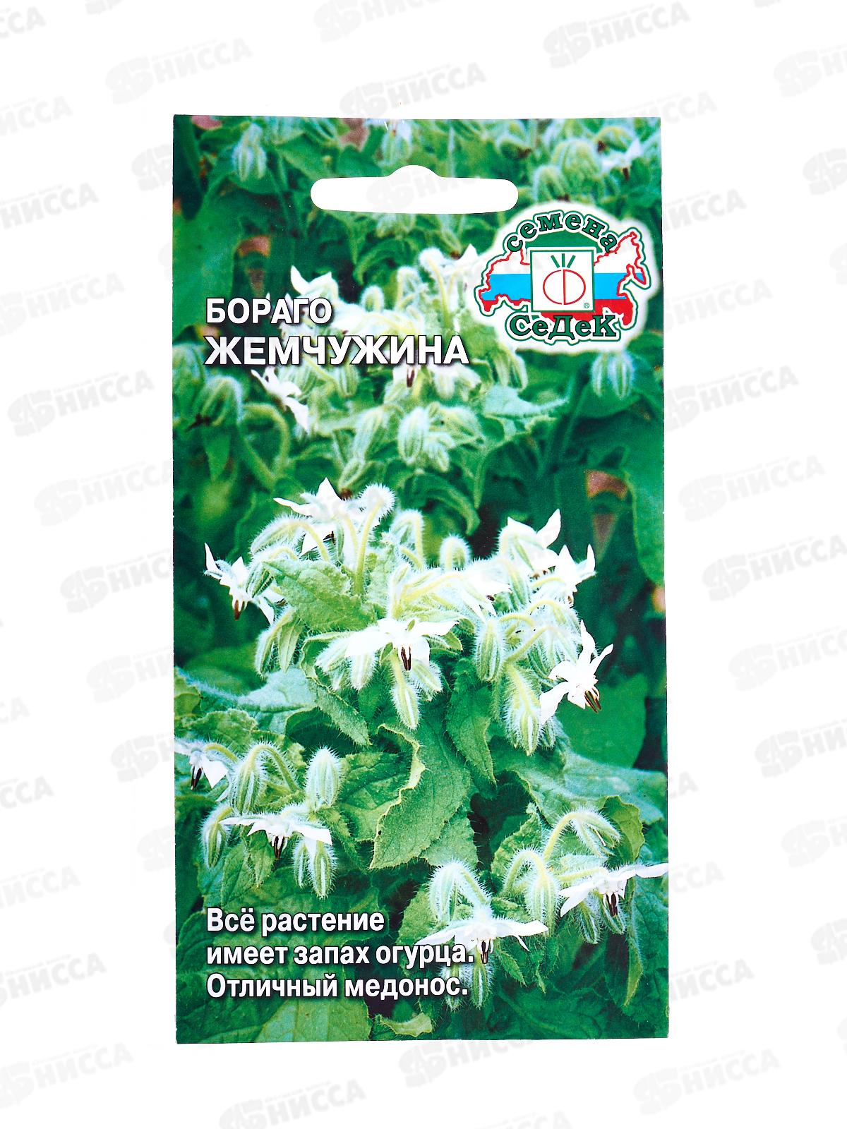 Бораго Жемчужина (огуречная трава, белый) (Евро , 0,5) СеДеК *10