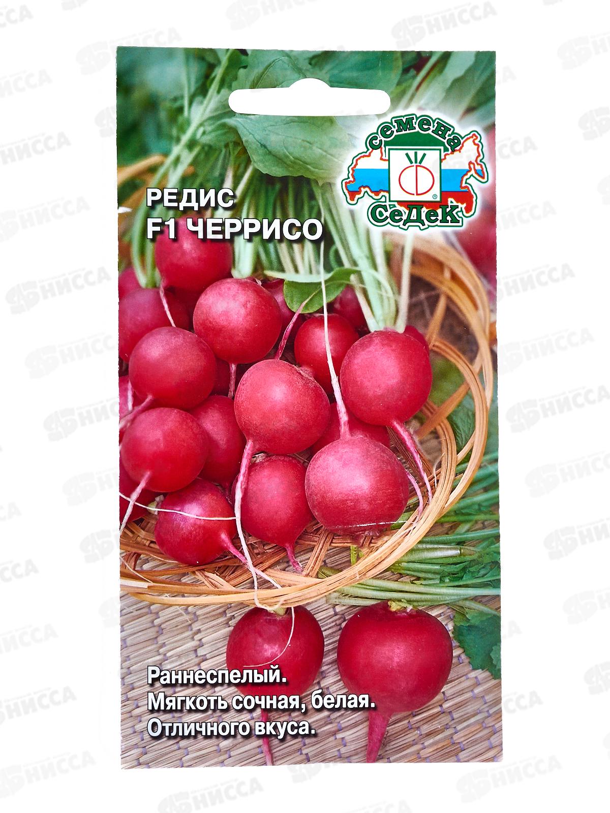Редис Черрисо F1 (Евро, 1) СеДек *10 +