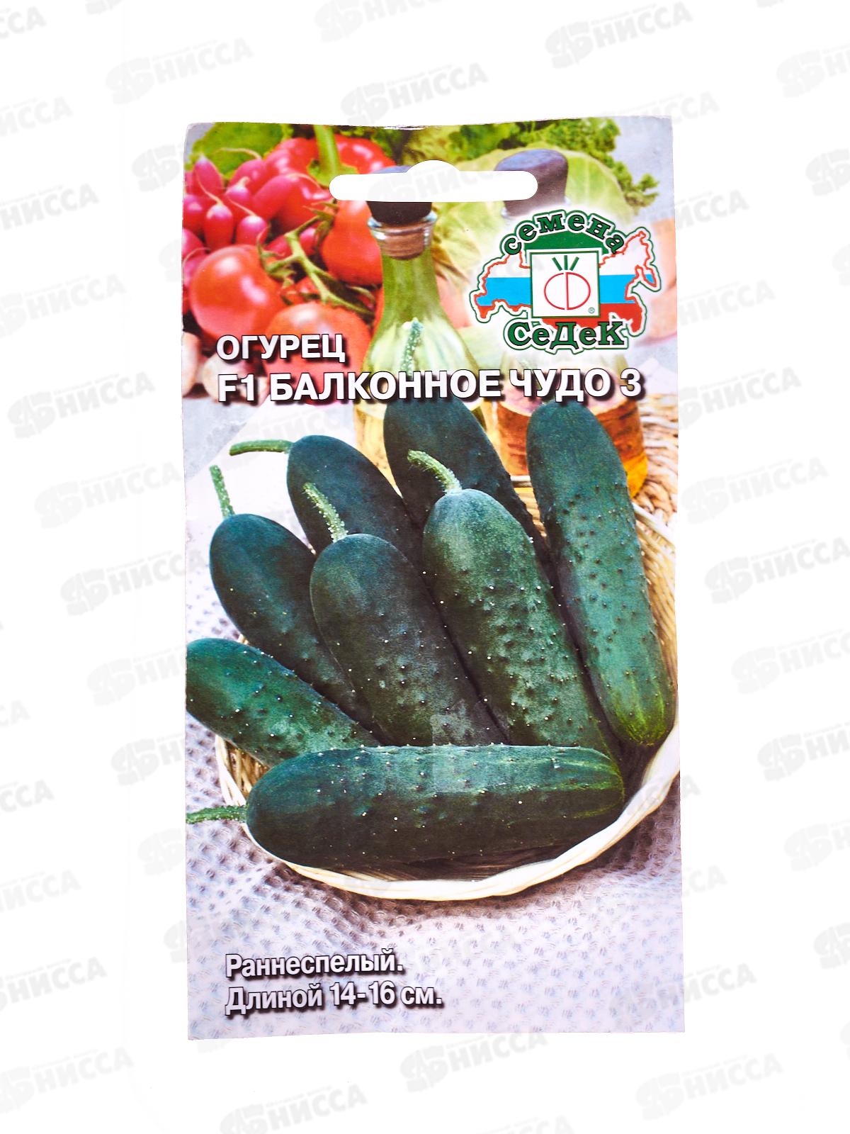 Огурец Балконное Чудо 3 F1 (Евро, 0,2) СеДек *10