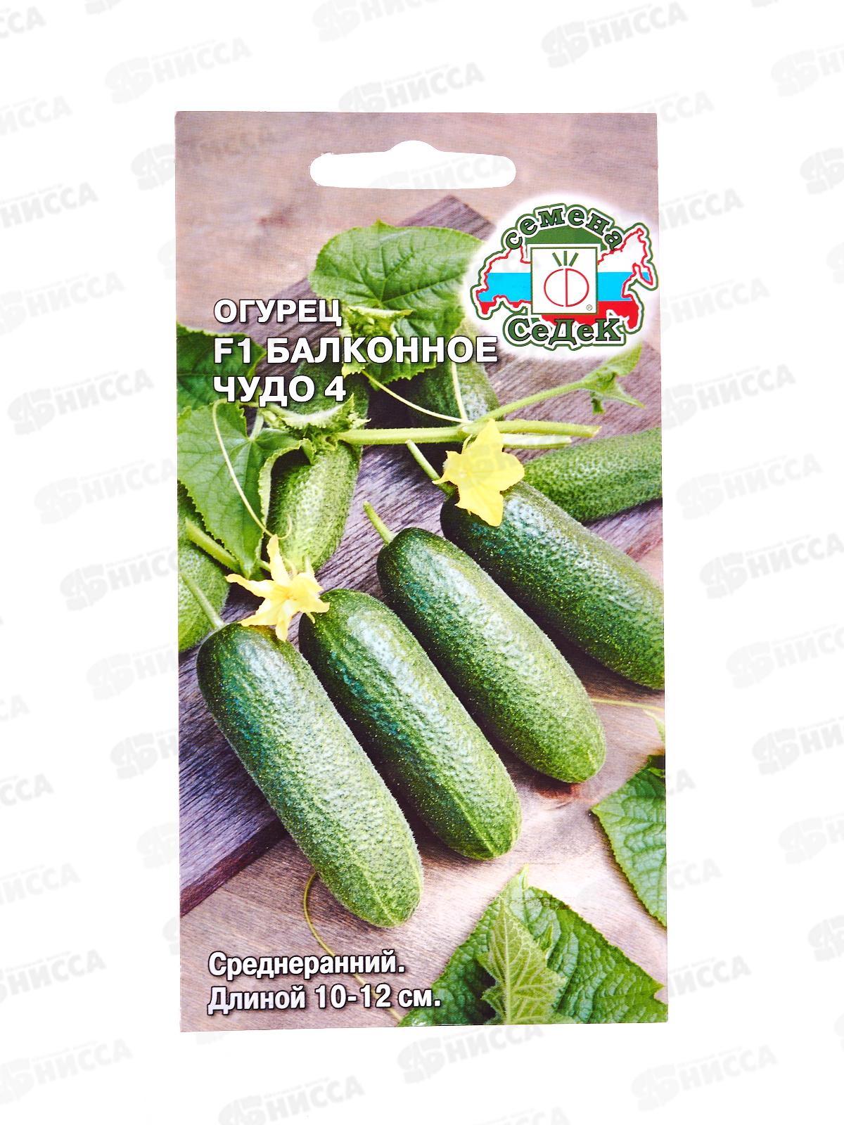 Огурец Балконное Чудо 4 F1 (Евро, 0,2) СеДек *10