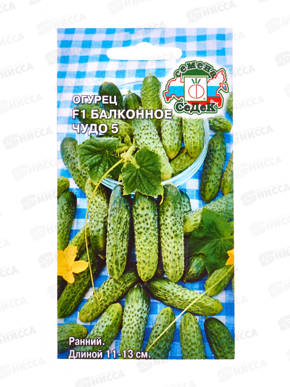 Огурец Балконное Чудо 5 F1 (Евро, 0,2) СеДек *10