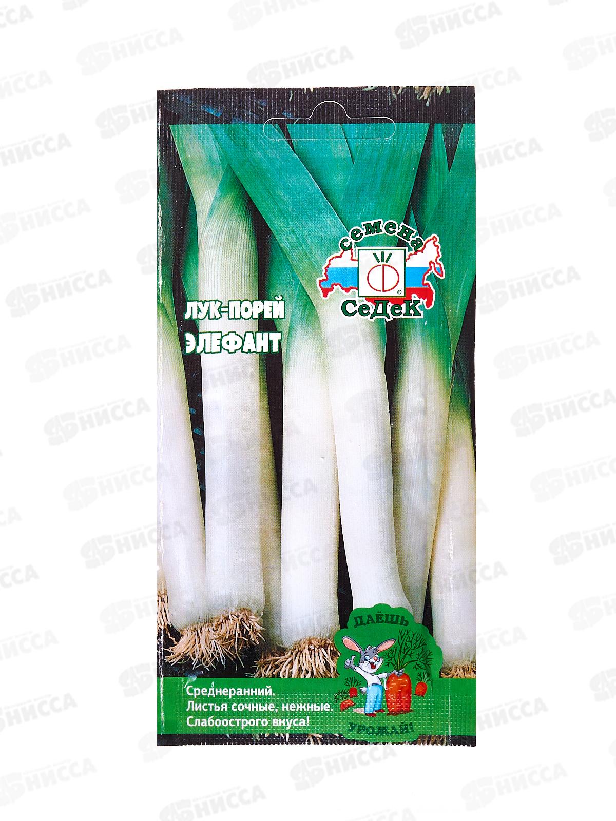 Лук Элефант МС ПОР ДУ (Евро, 1) СеДек *10