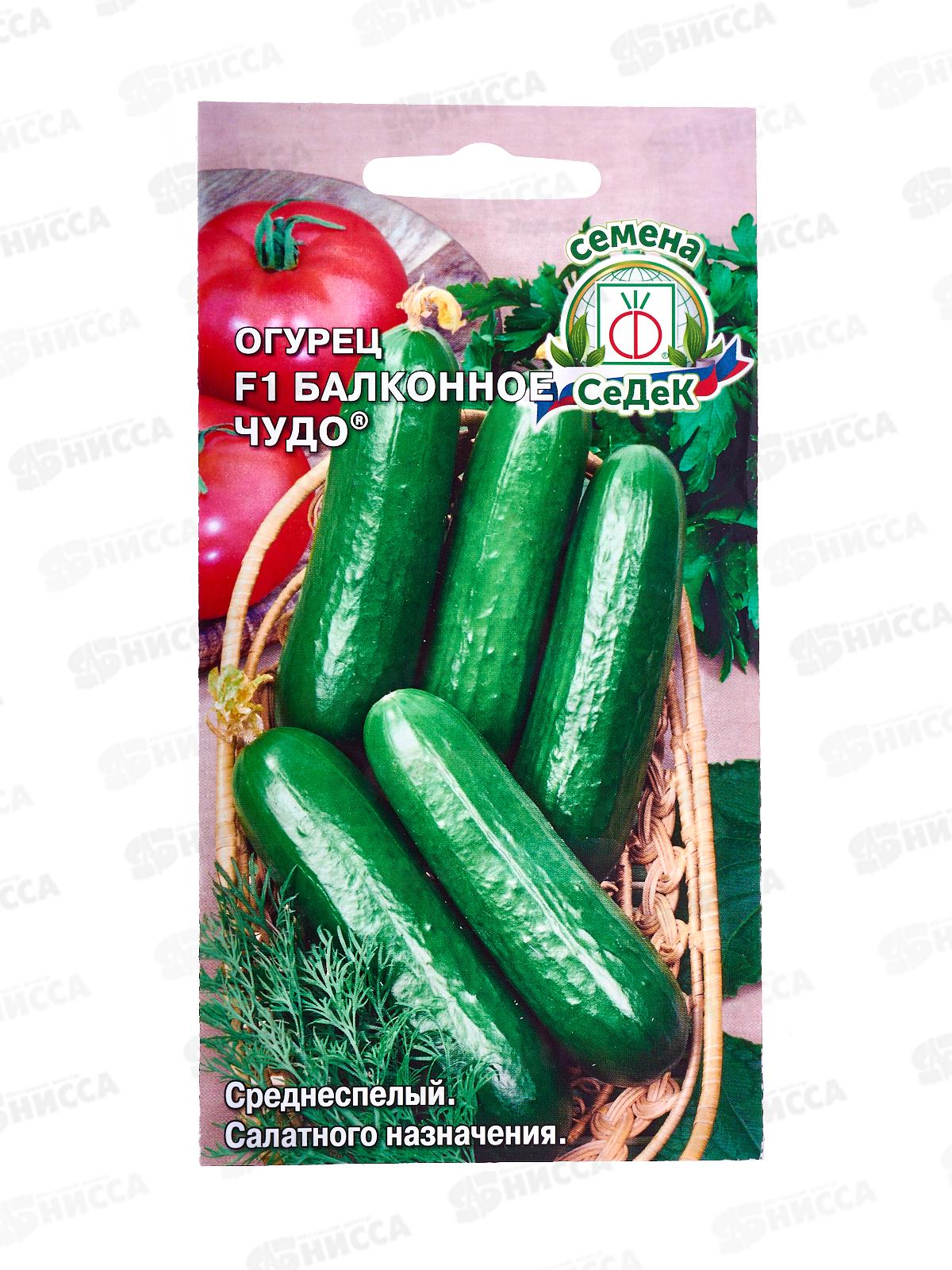 Огурец Балконное Чудо F1 (Евро, 0,2) СеДек *10 +